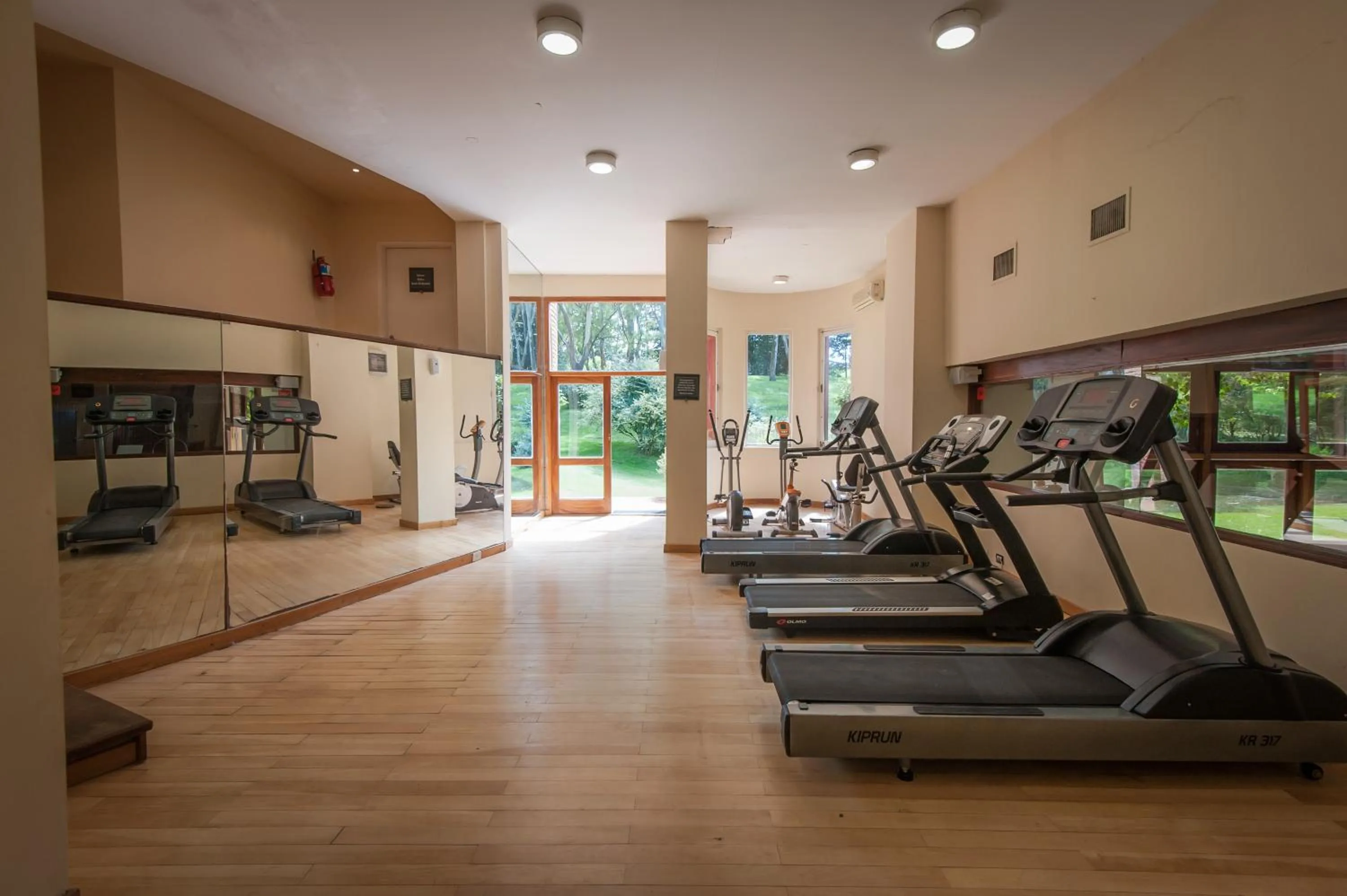 Spa and wellness centre/facilities in Hotel del Bosque