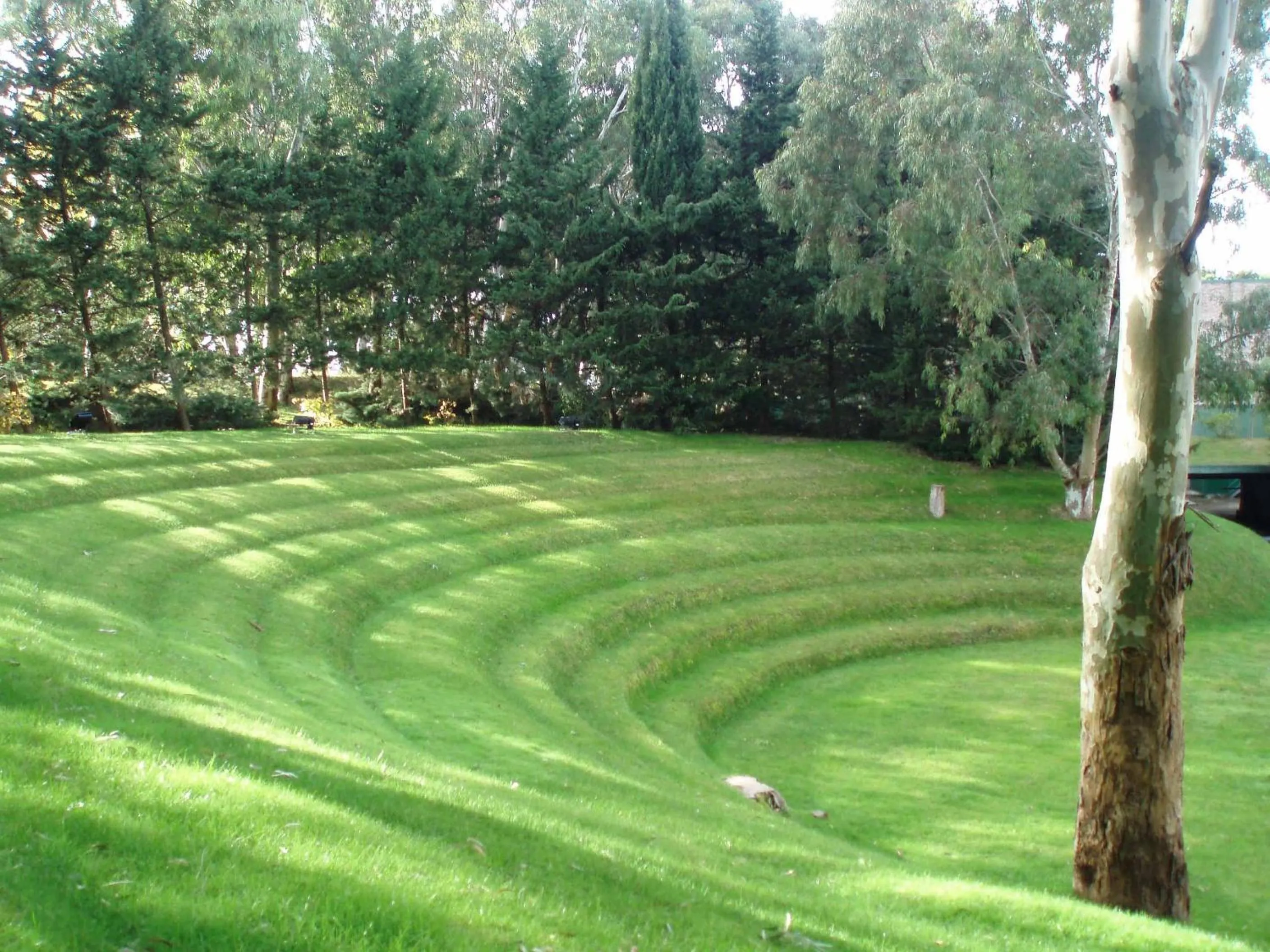 Garden in Hotel del Bosque