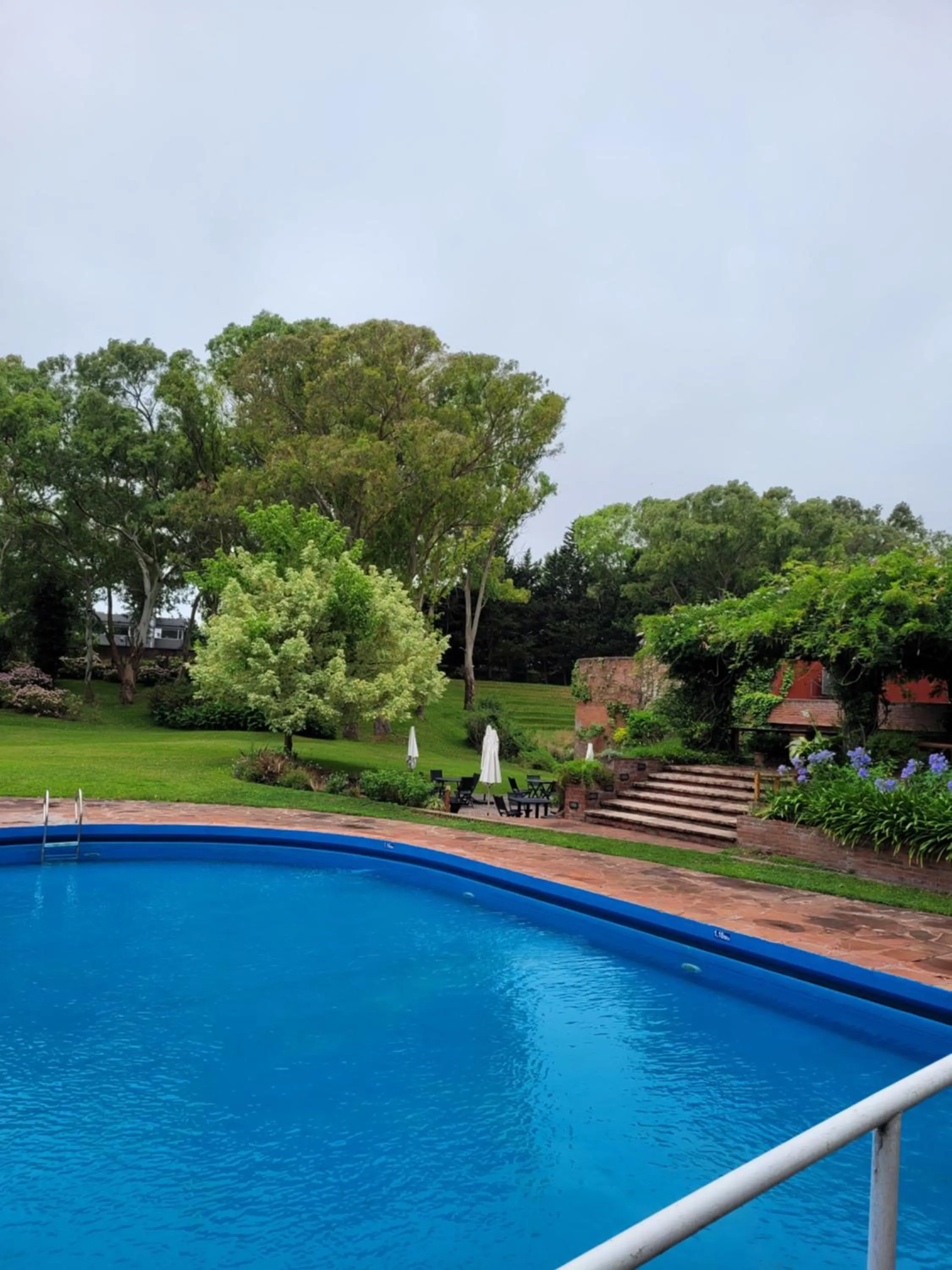 Swimming pool in Hotel del Bosque