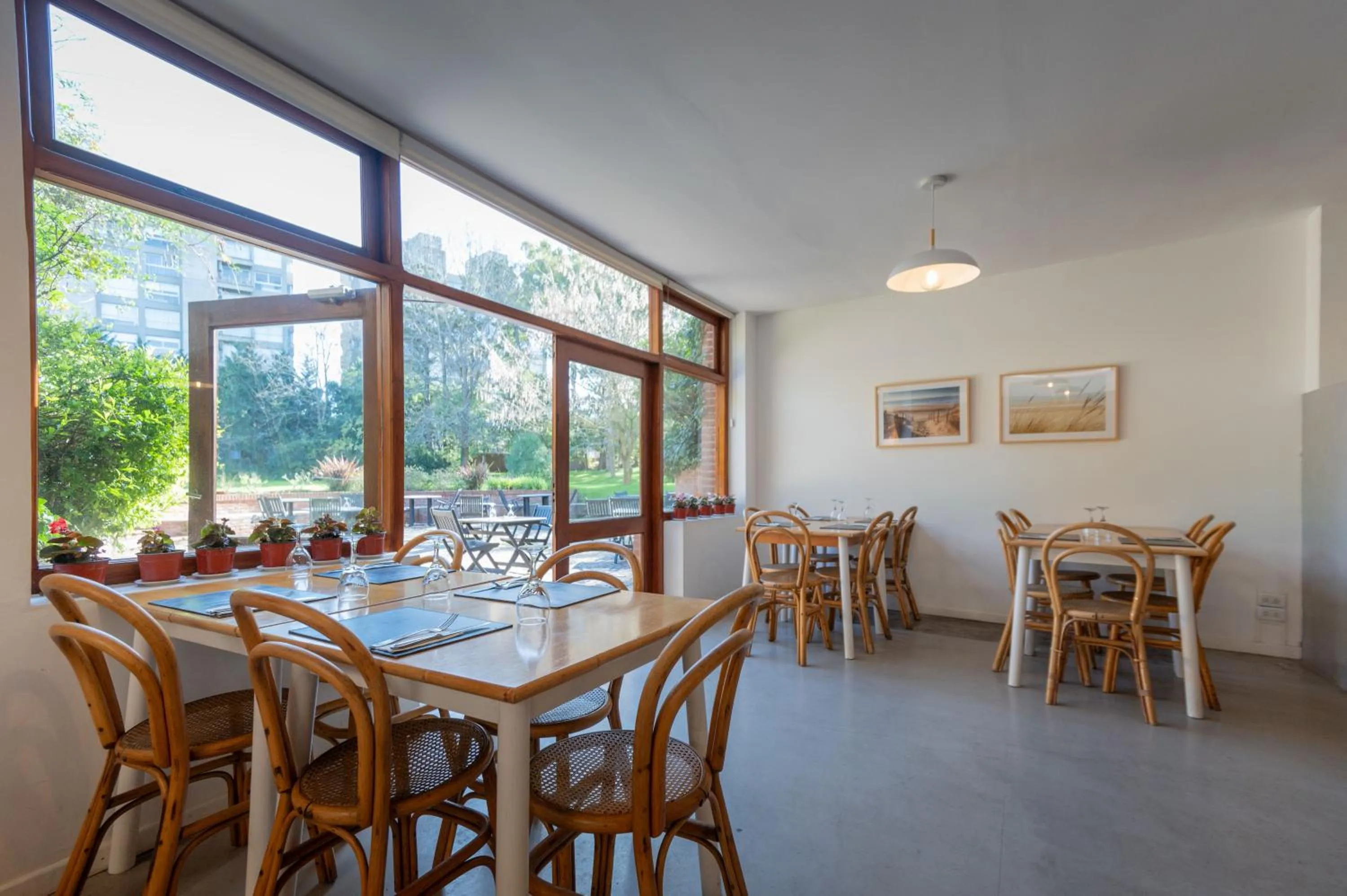 Restaurant/places to eat in Hotel del Bosque