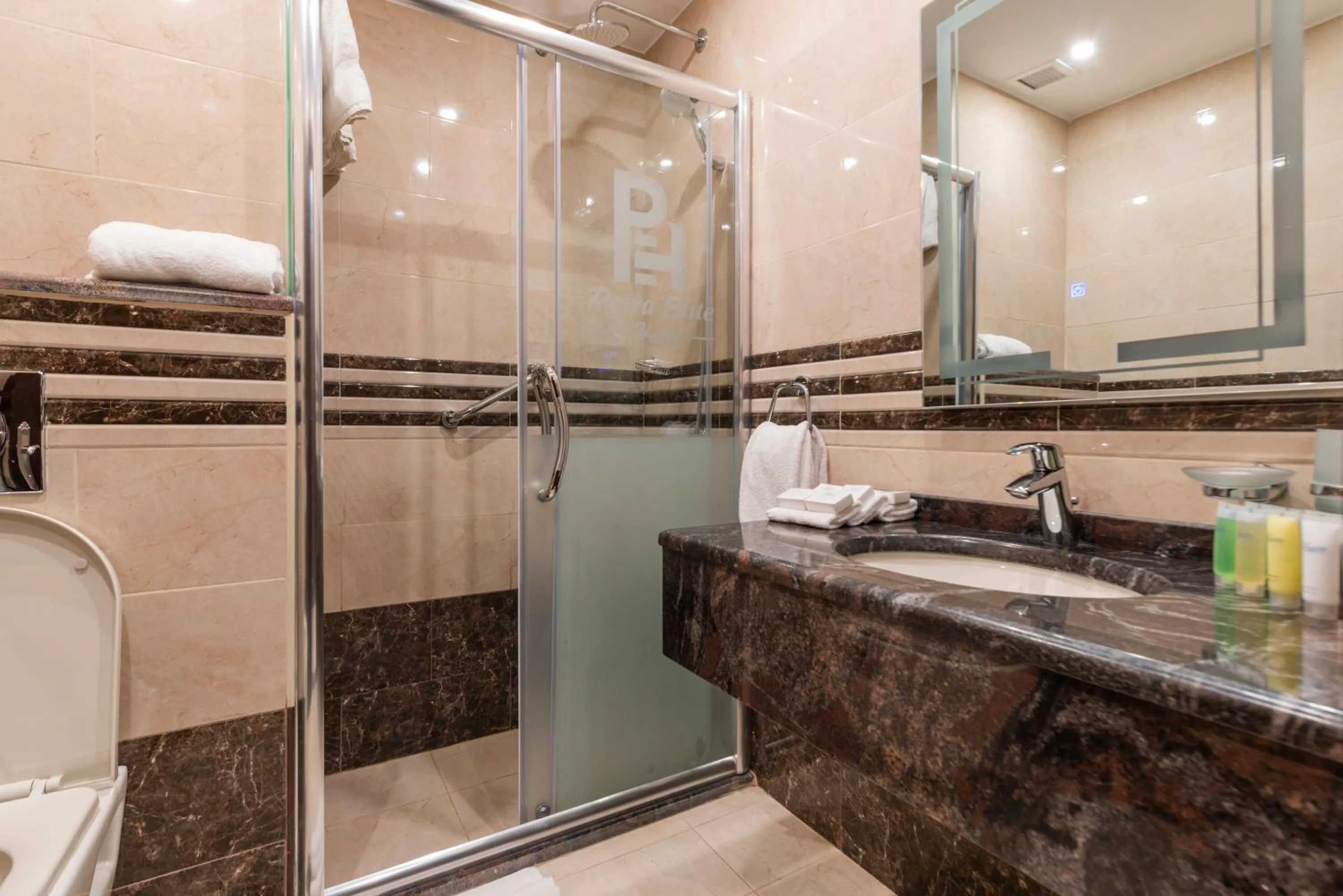 Shower in Petra Elite Hotel