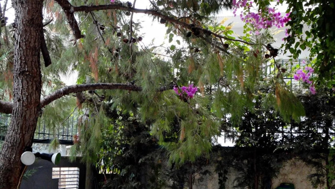 Vacations in Patra Studios