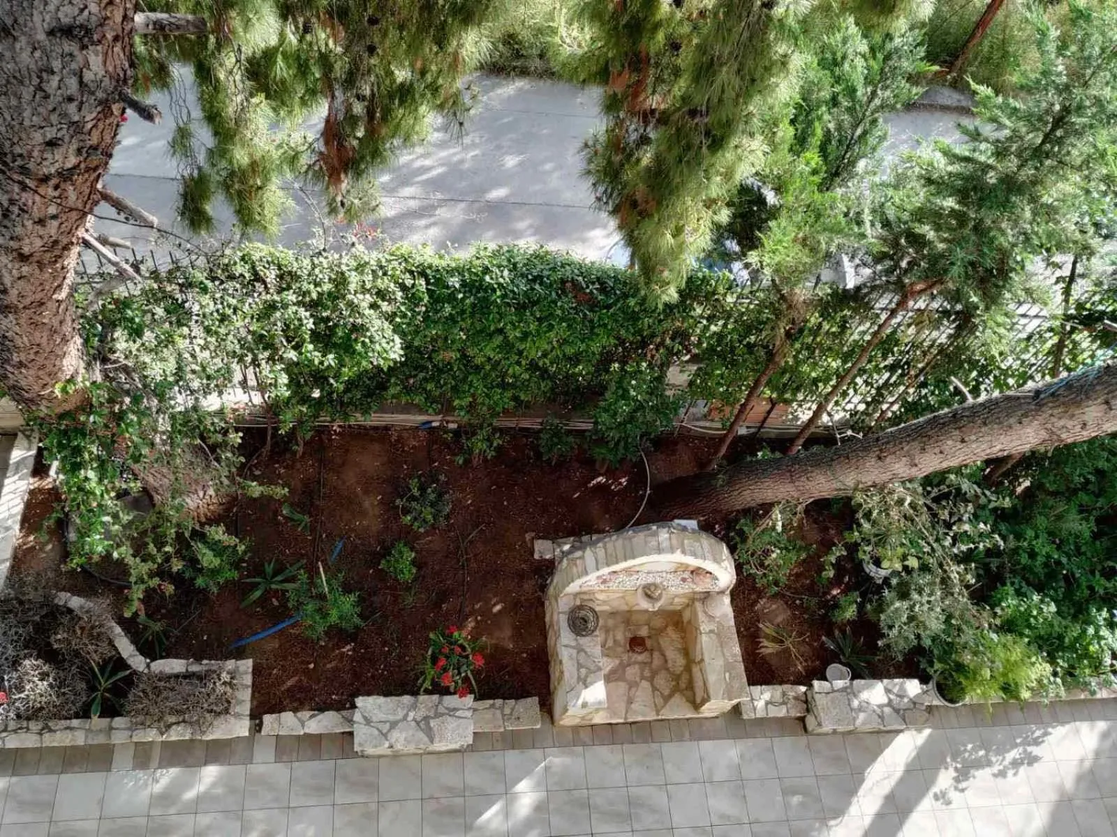 Garden in Vacations in Patra Studios