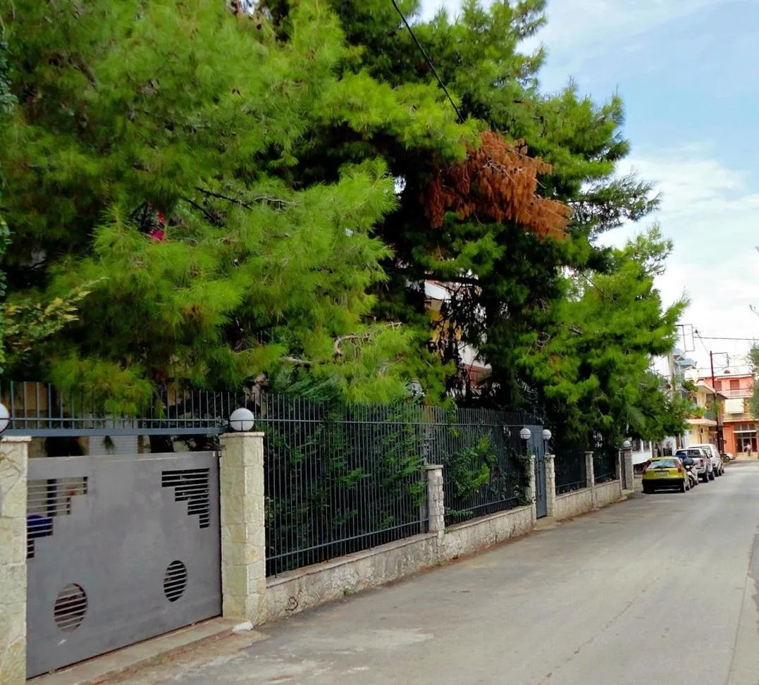 Vacations in Patra Studios