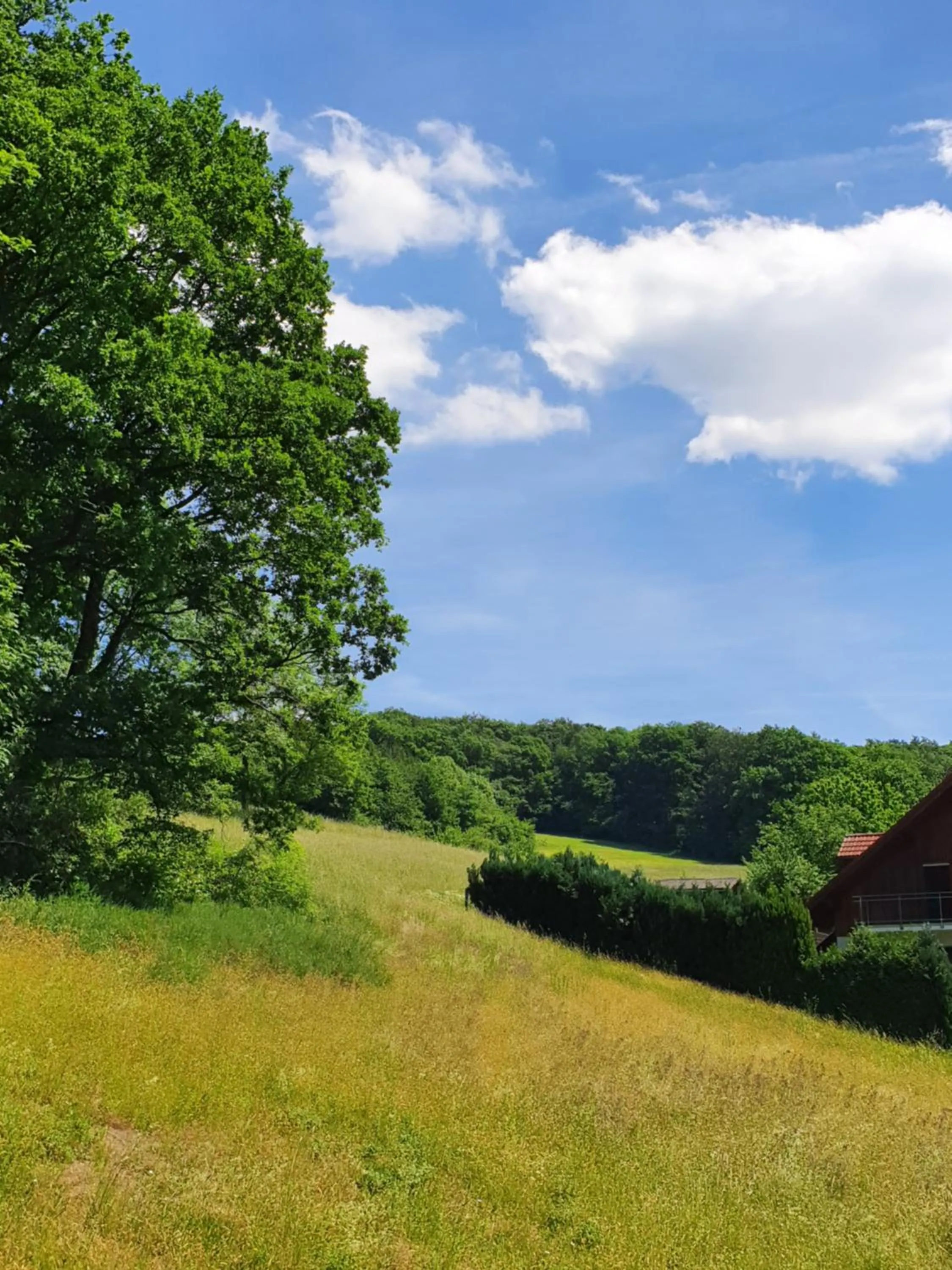 View (from property/room) in Odenwald-Lodge mit Infrarotsauna und E-Ladestation "Haus Purpur"