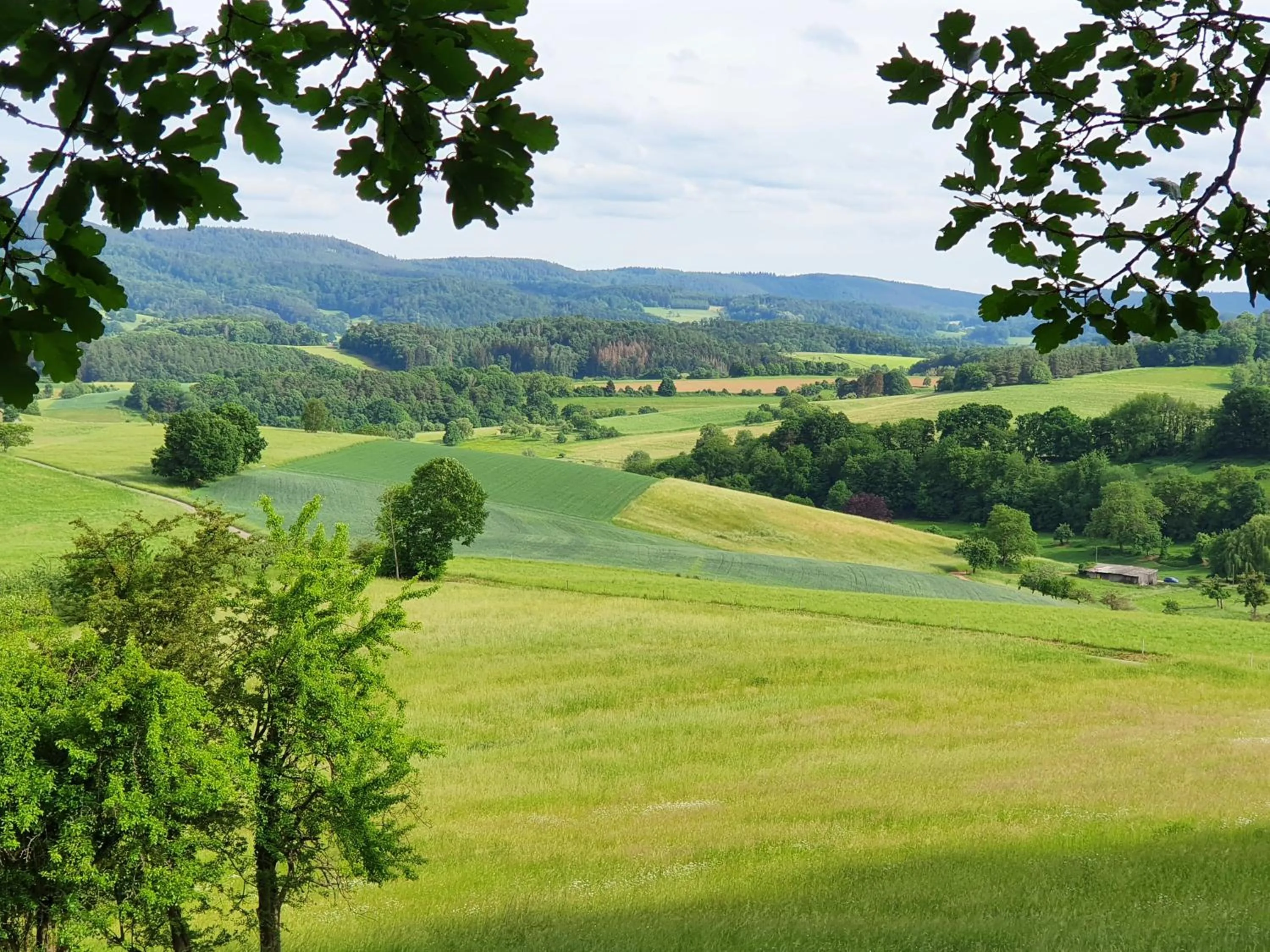 Natural landscape in Odenwald-Lodge mit Infrarotsauna und E-Ladestation "Haus Purpur"