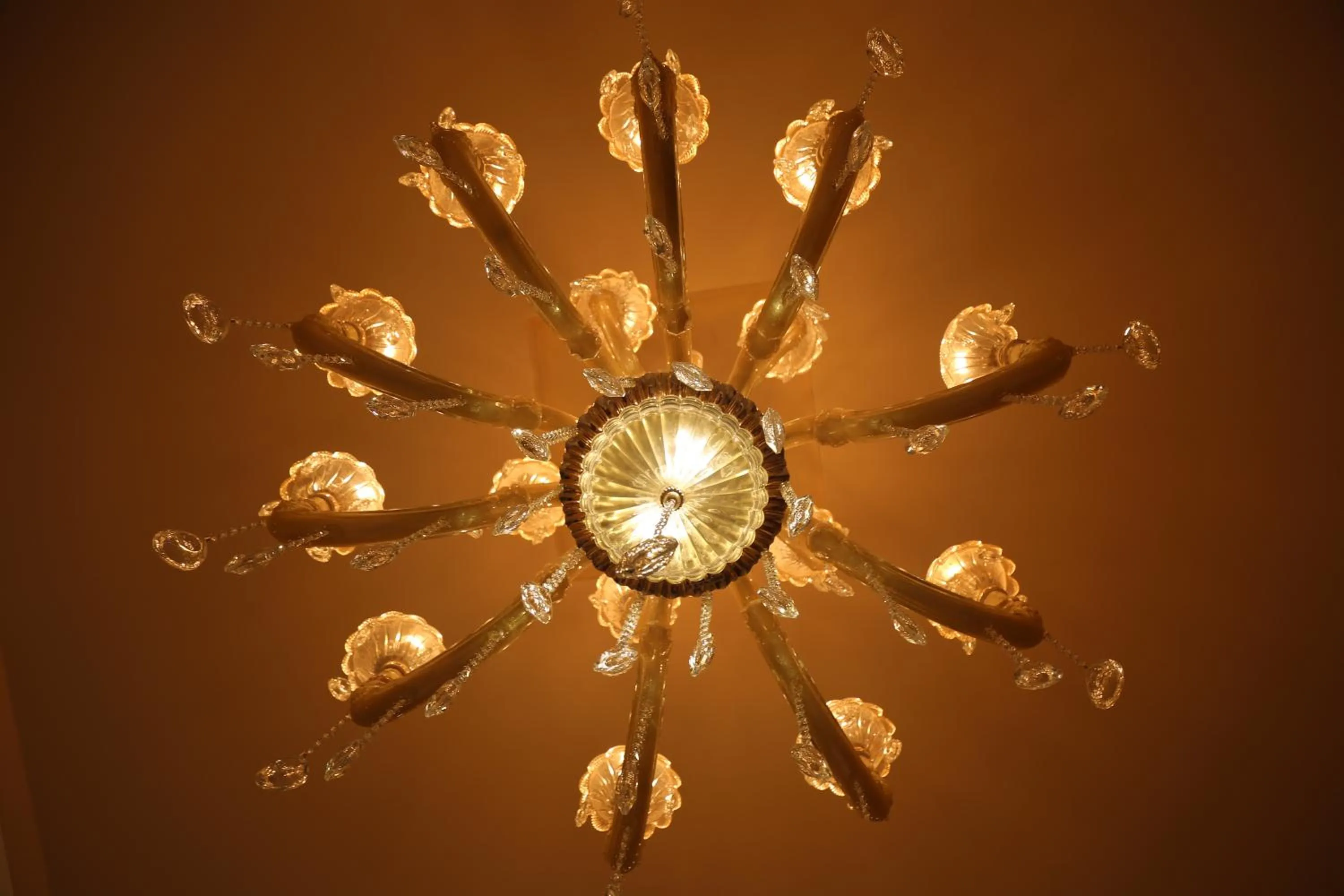 Natural landscape in Turquoise Hotel