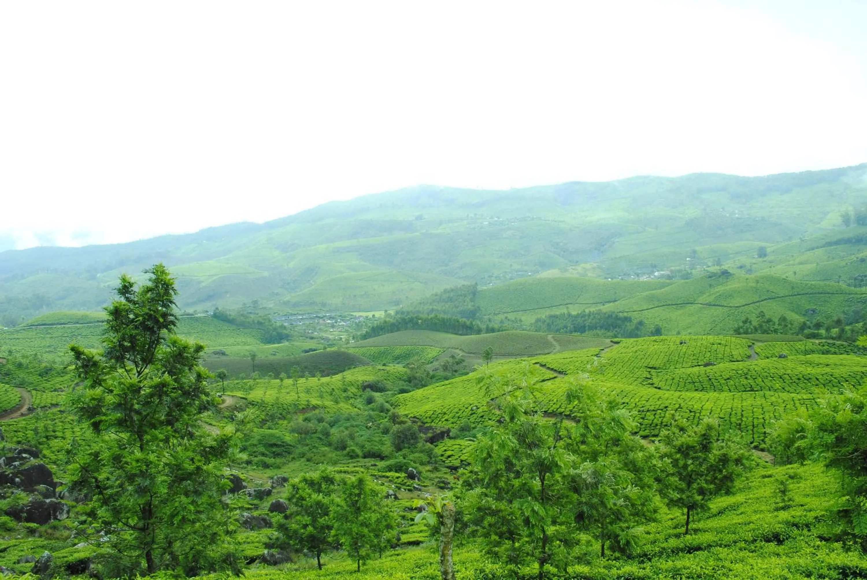 Nearby landmark in Mistica Munnar
