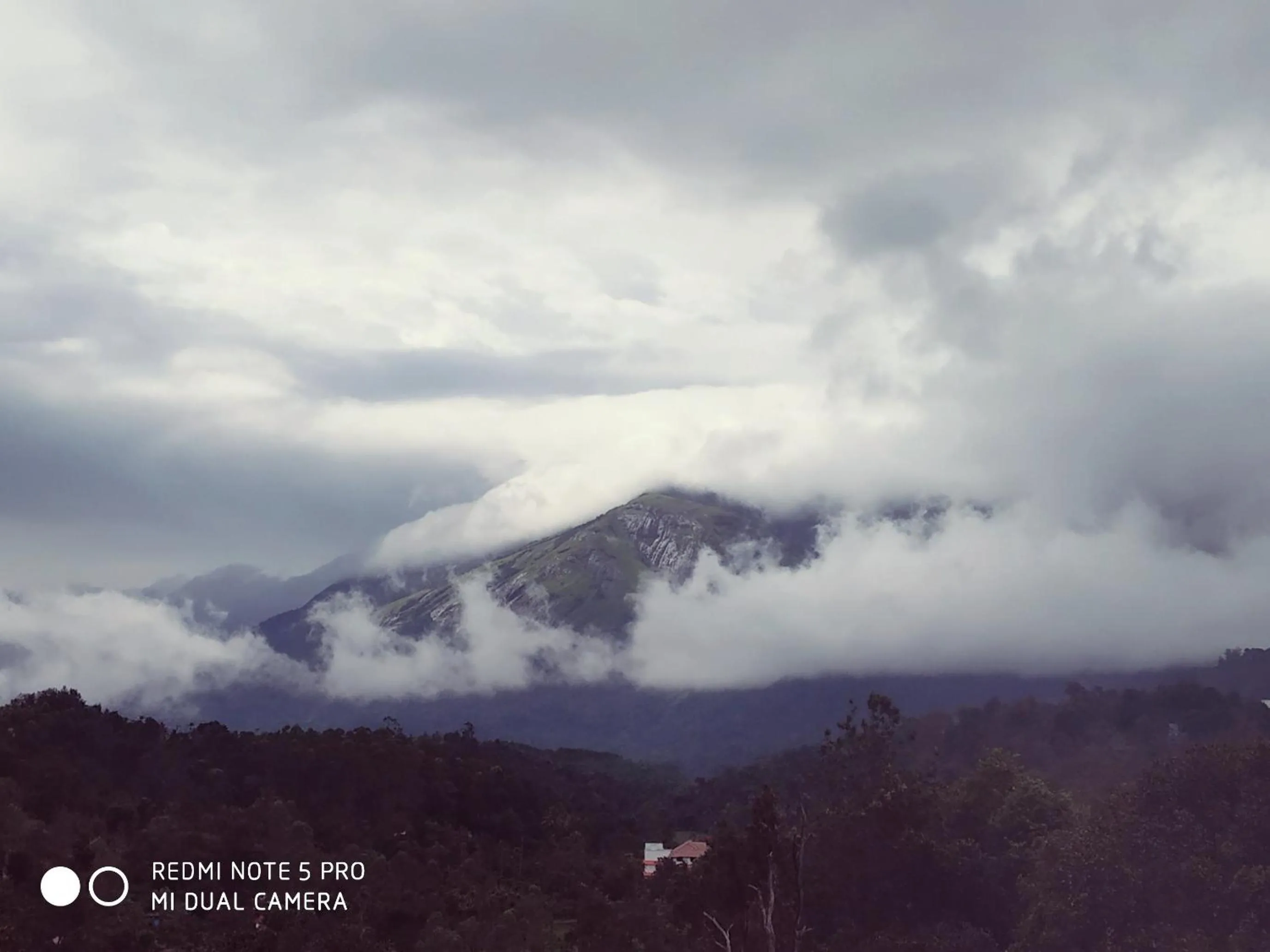 Mountain view in Mistica Munnar