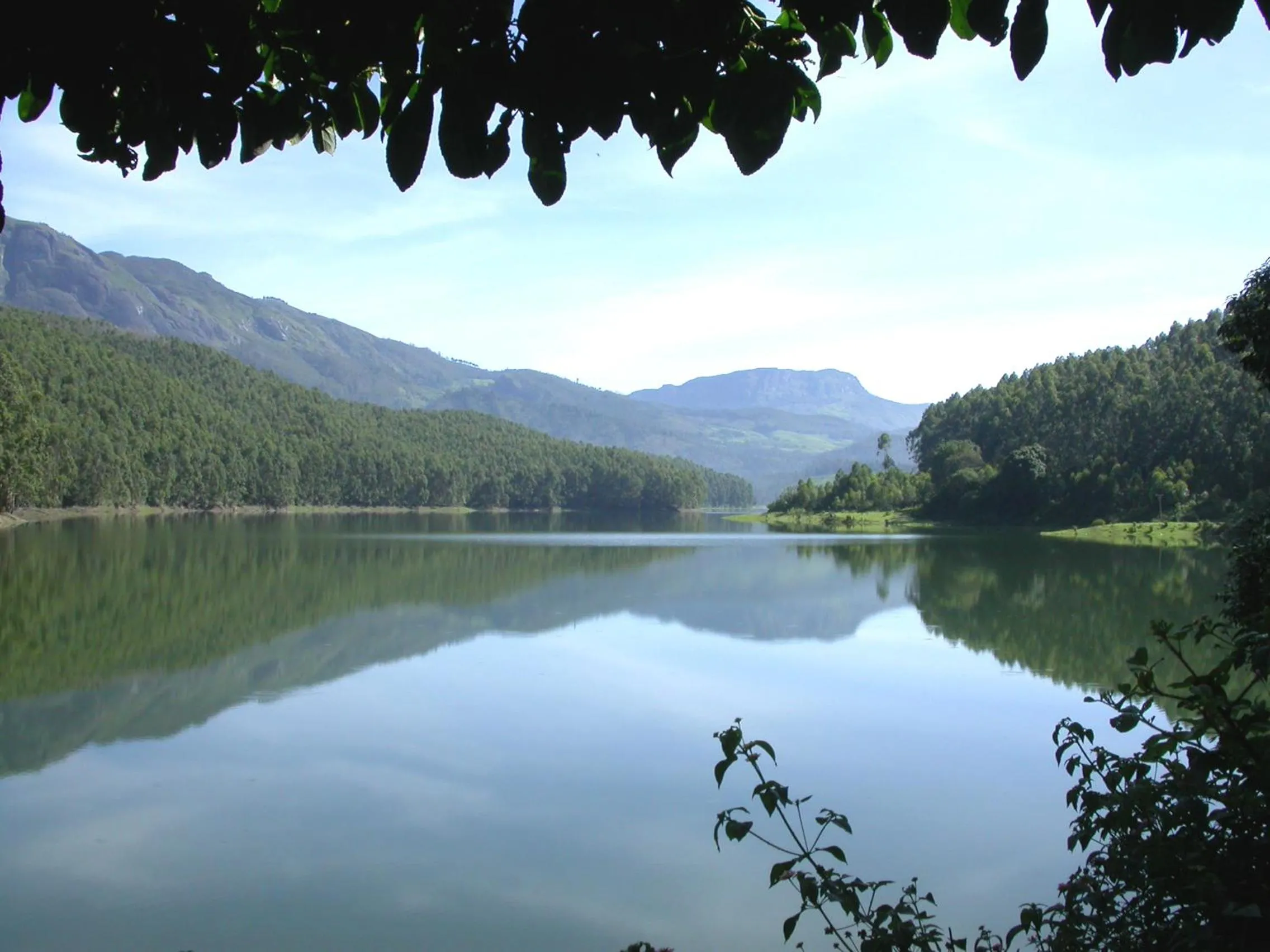 Mistica Munnar