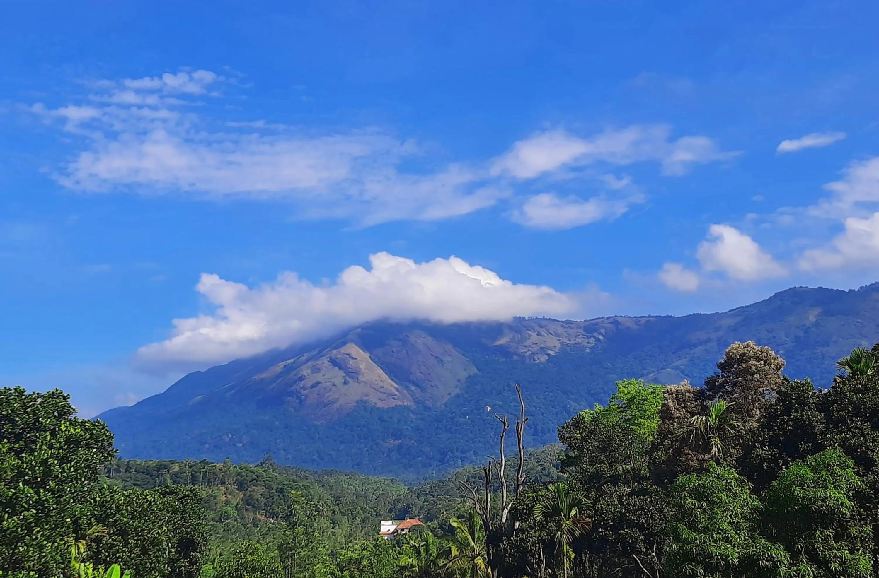 Mountain view in Mistica Munnar