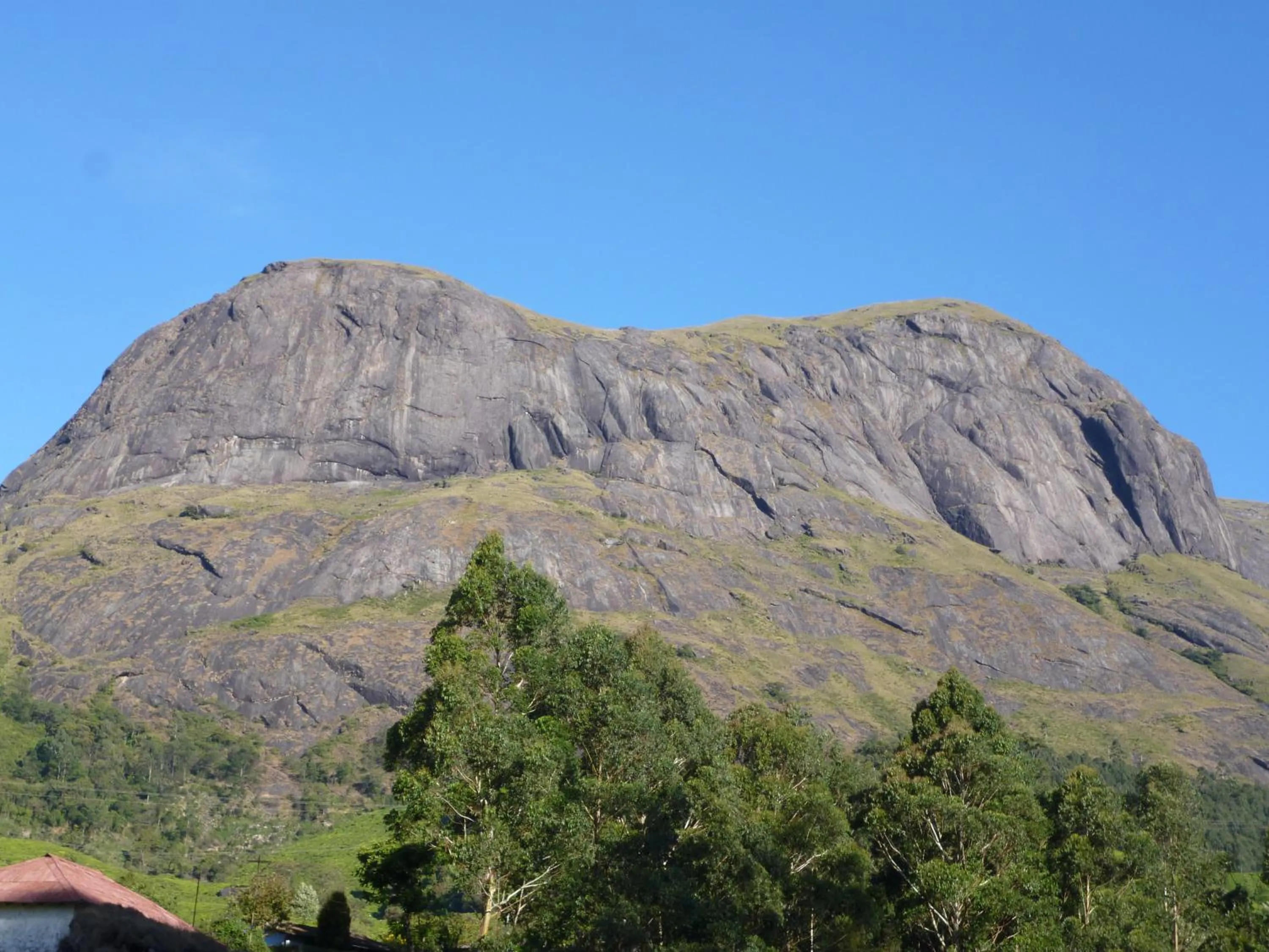 Mistica Munnar