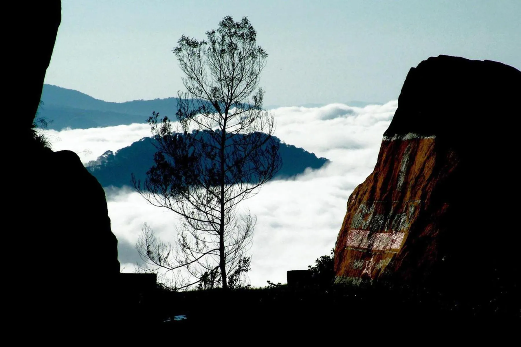 Nearby landmark in Mistica Munnar