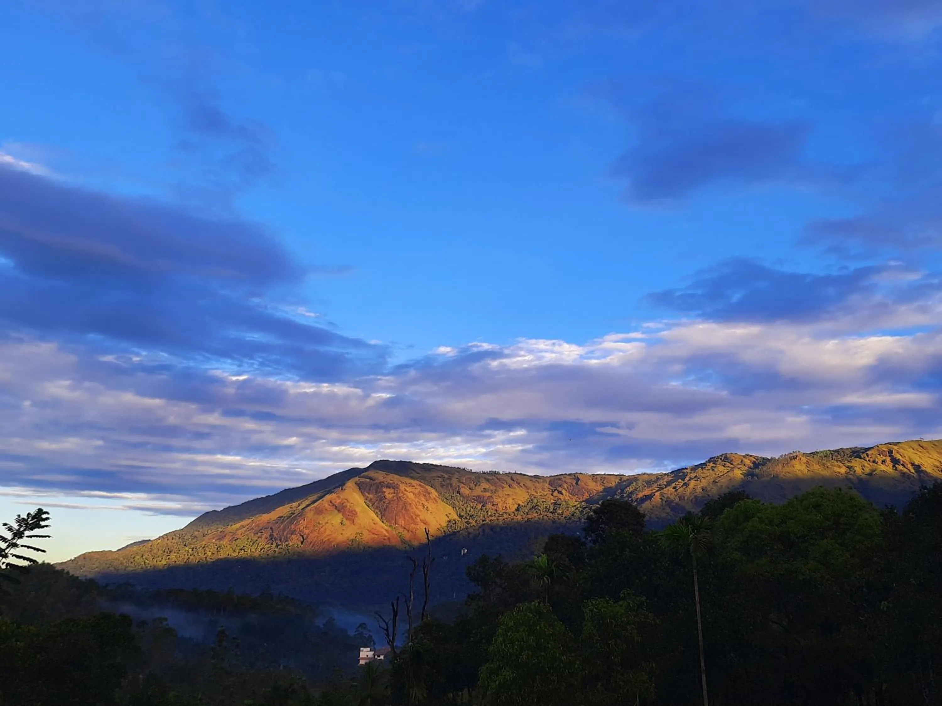 Mountain view in Mistica Munnar