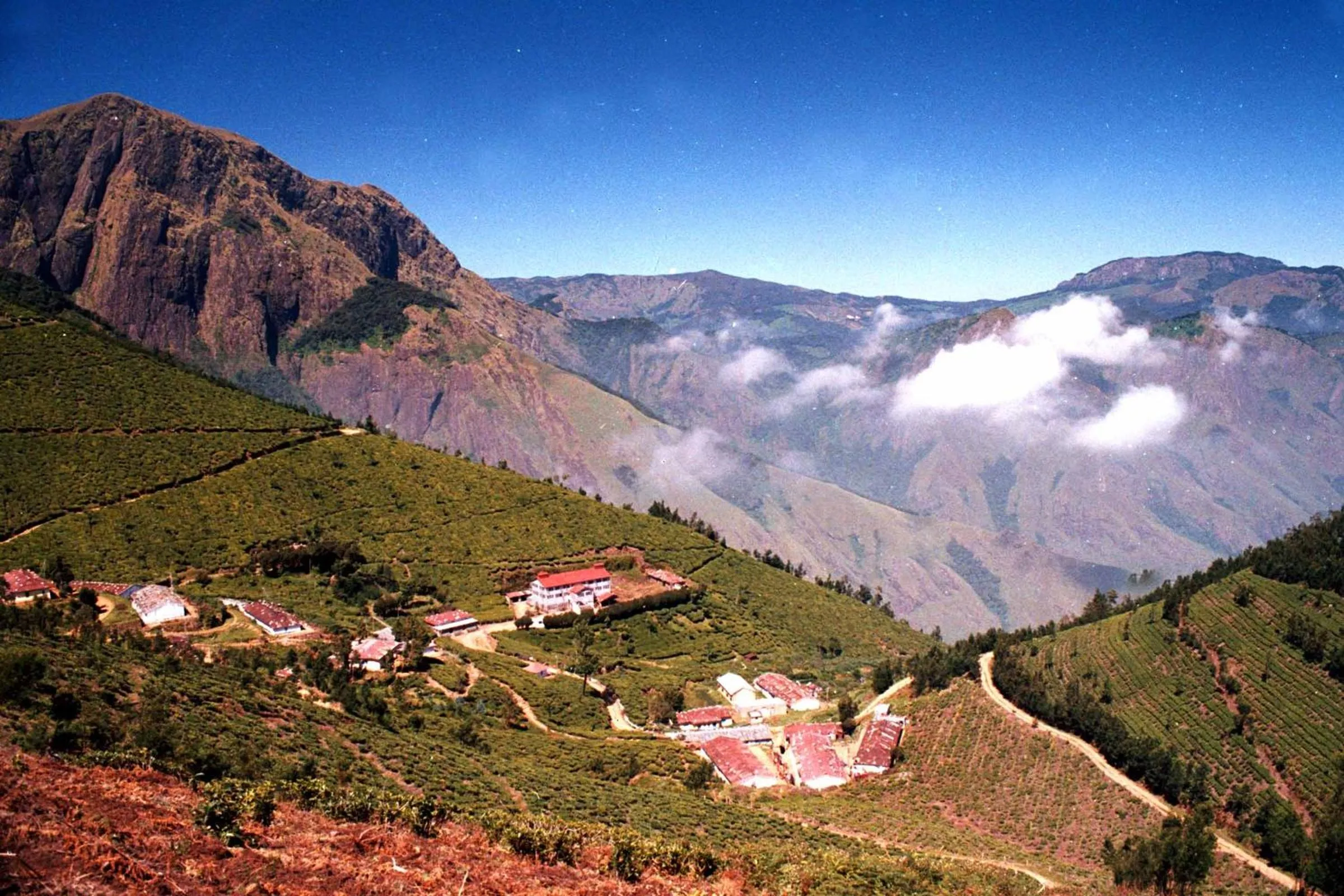 Nearby landmark in Mistica Munnar
