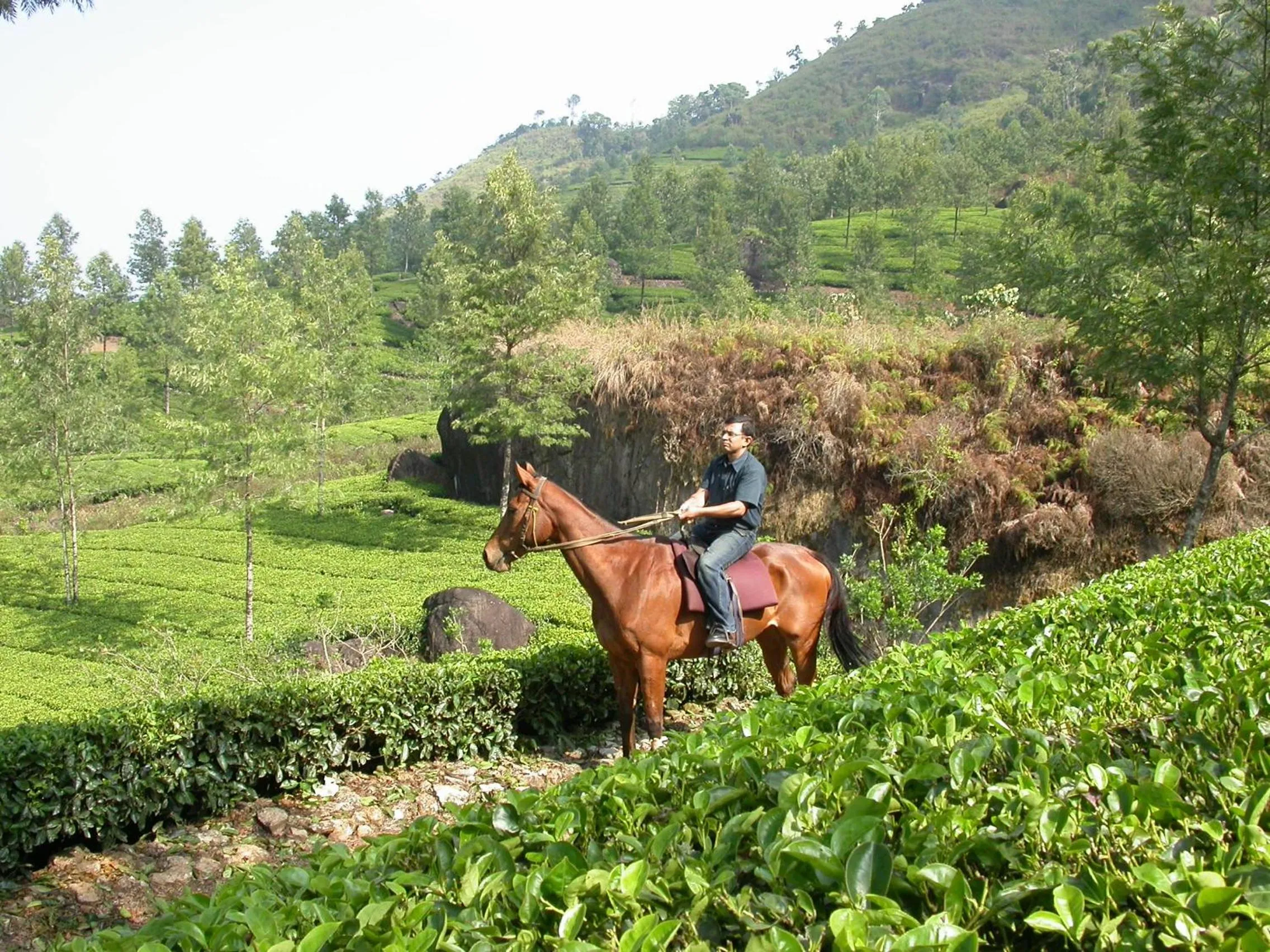 Mistica Munnar