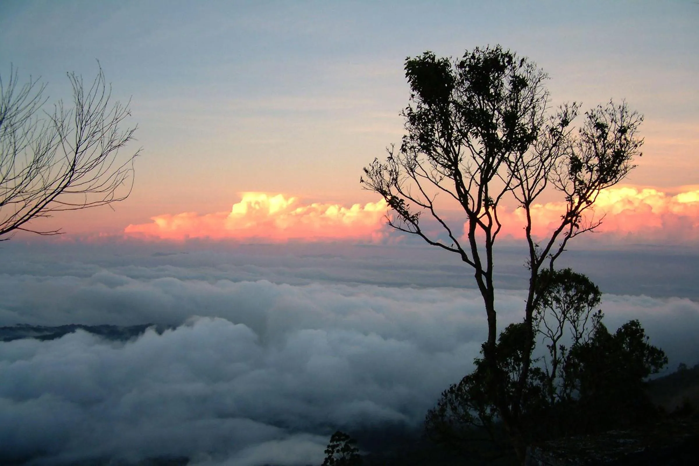Mistica Munnar