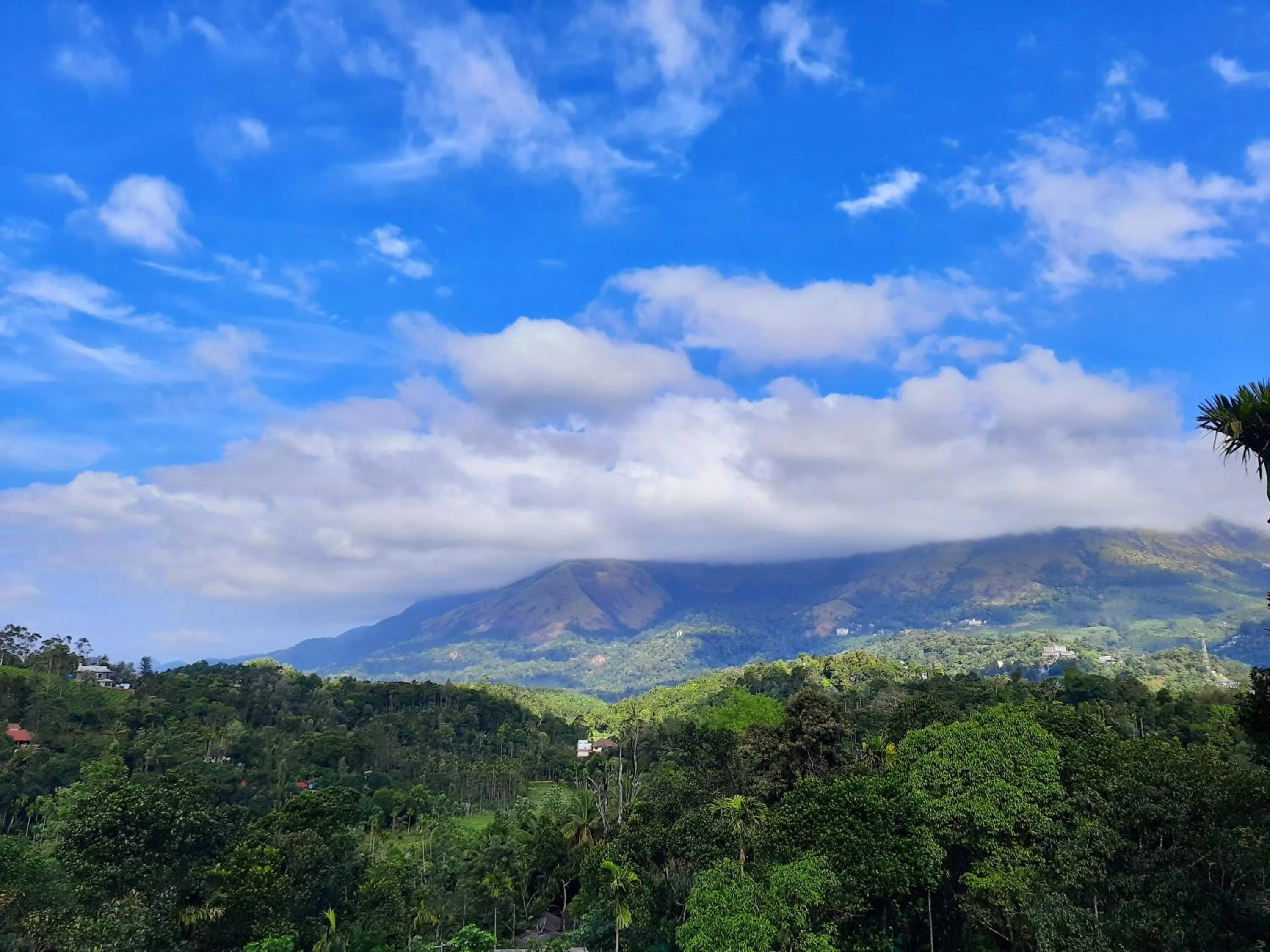 Mountain view in Mistica Munnar