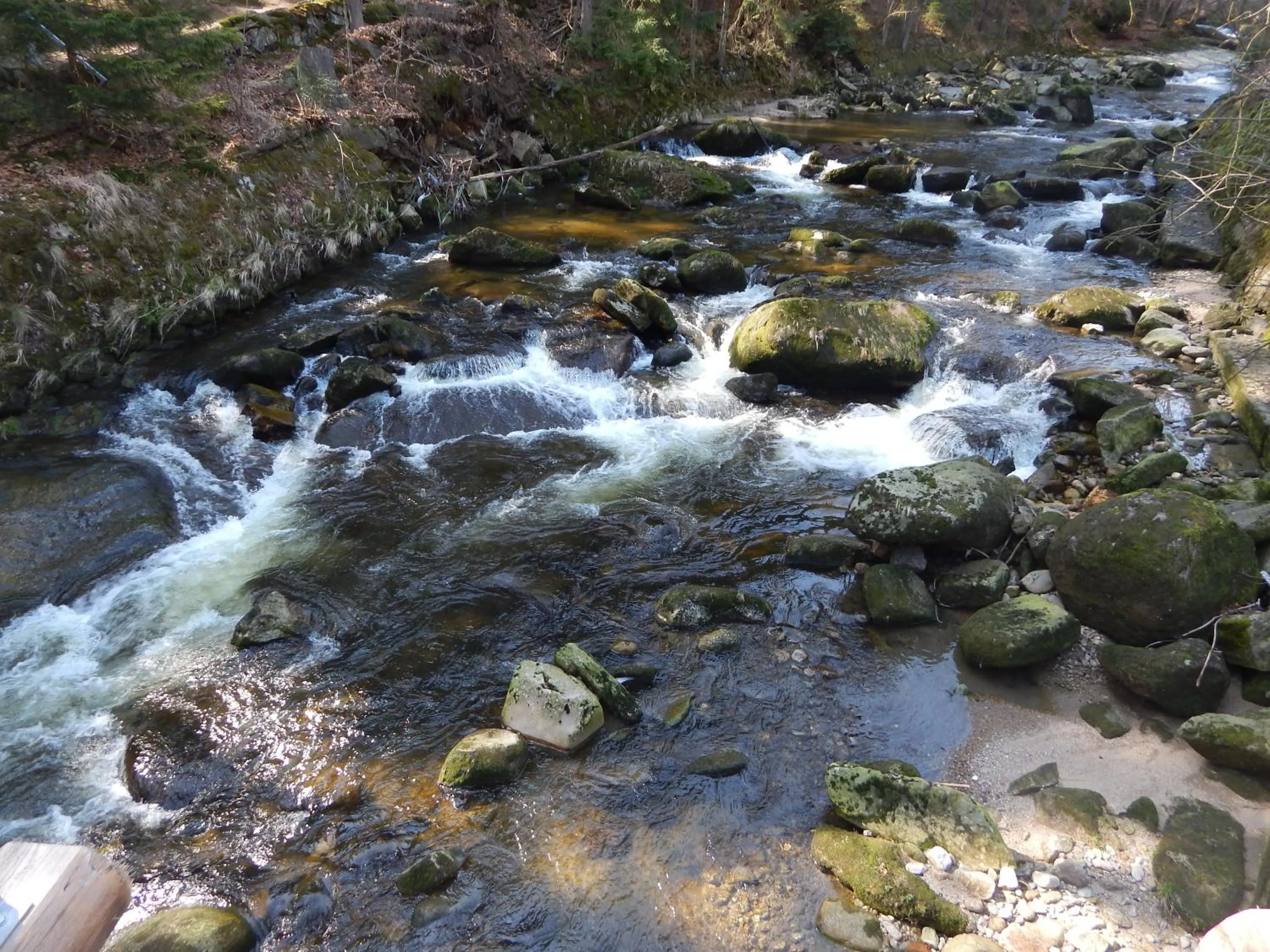 Nearby landmark in Dom Gościnny Gerus