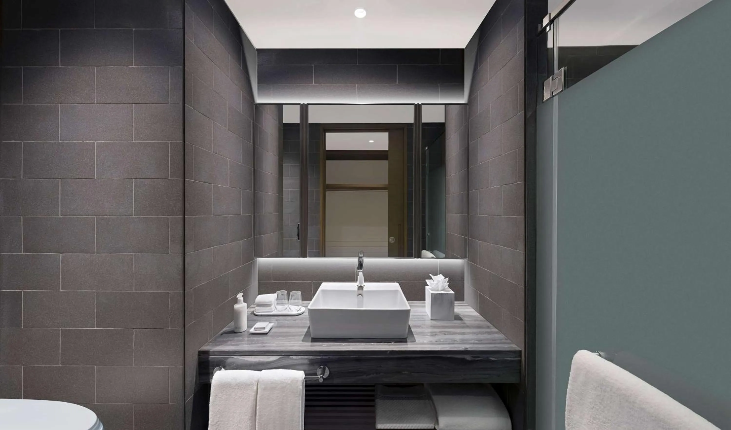 Bathroom in Hilton Garden Inn Bengaluru Embassy Manyata Business Park