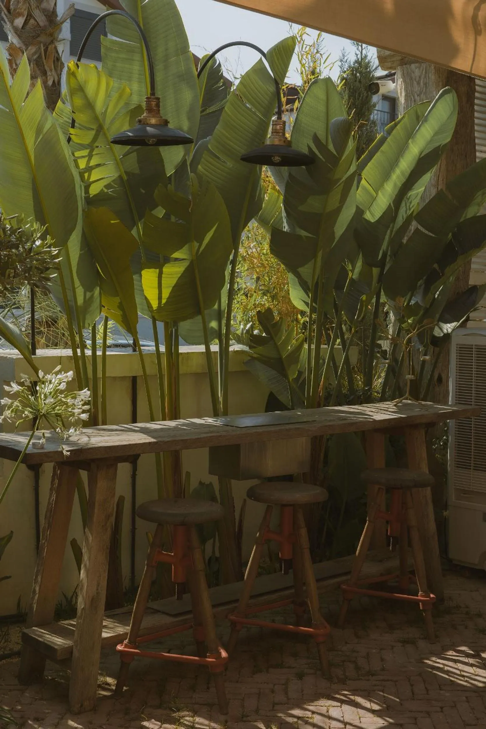 Day in To Be Social House