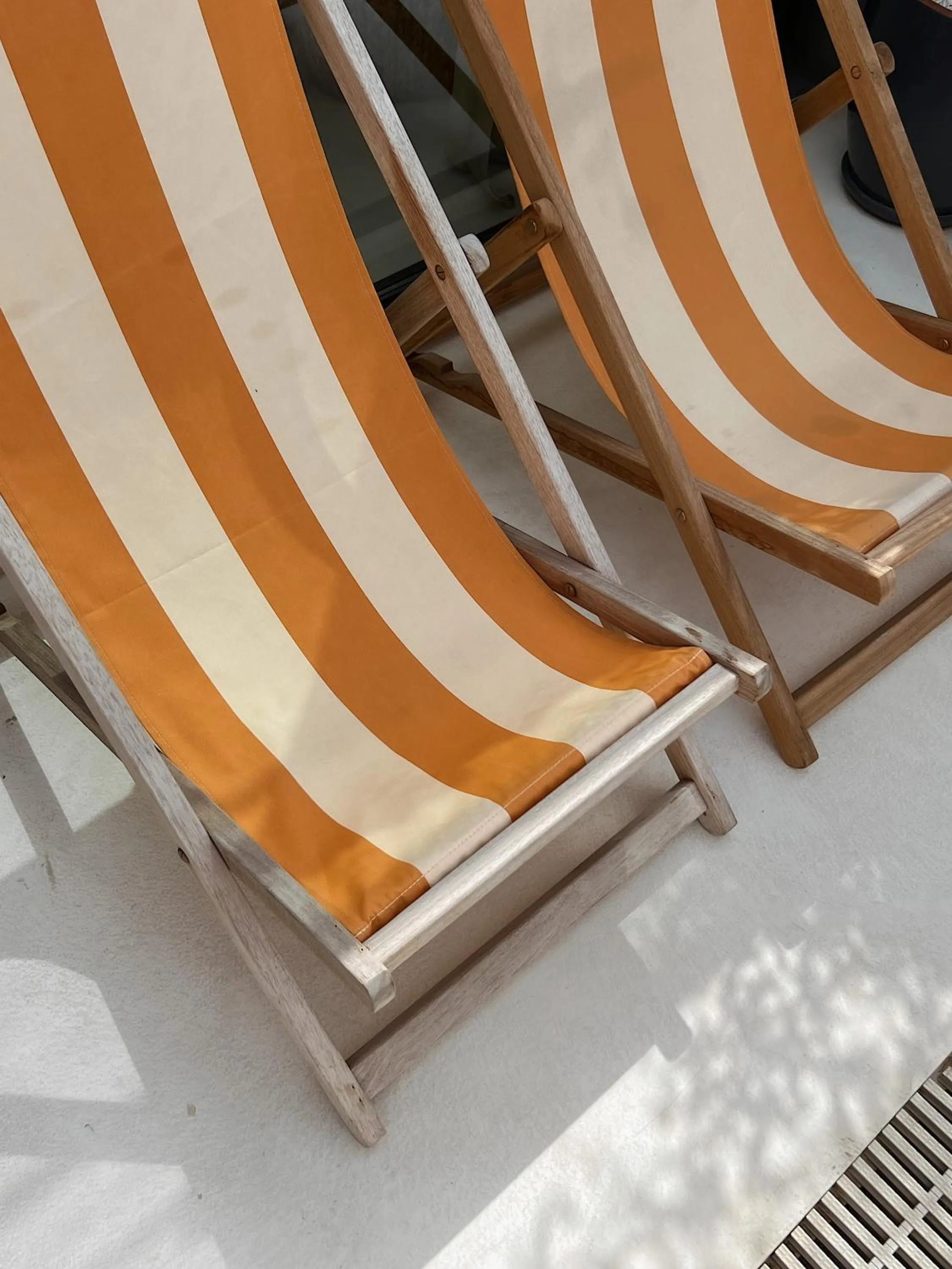 Day in To Be Social House