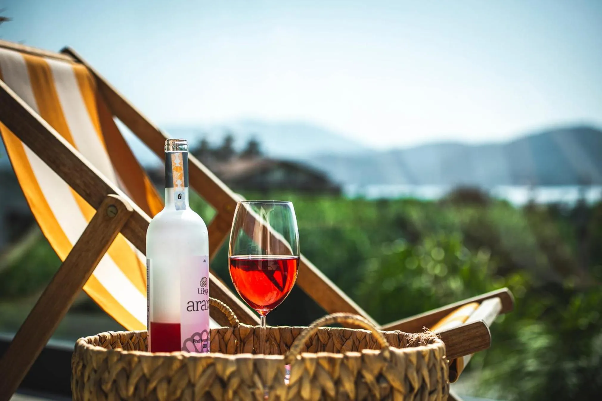 Day in To Be Social House