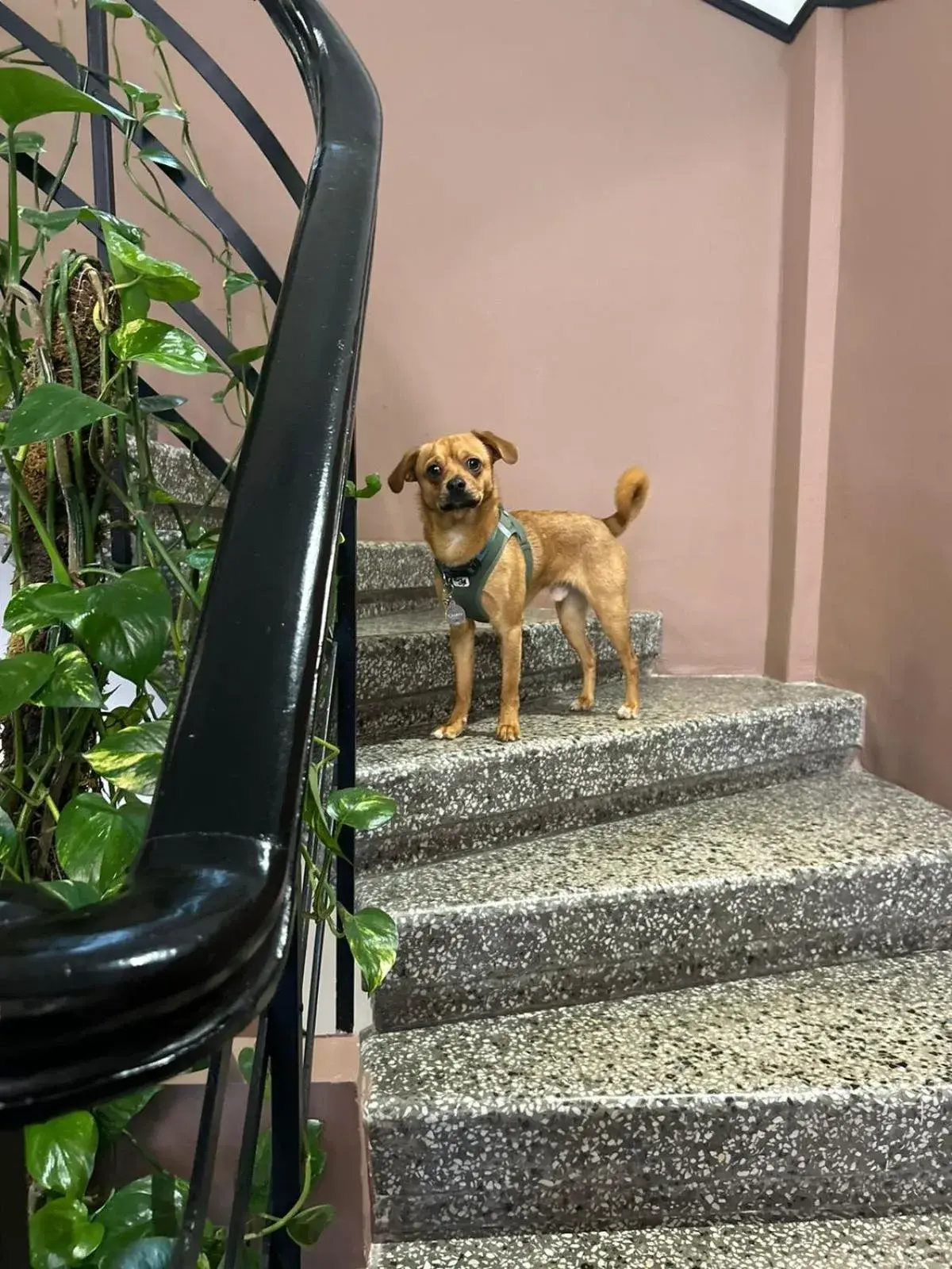 Property building in 72 AD Suites Property building in 72 AD Suites