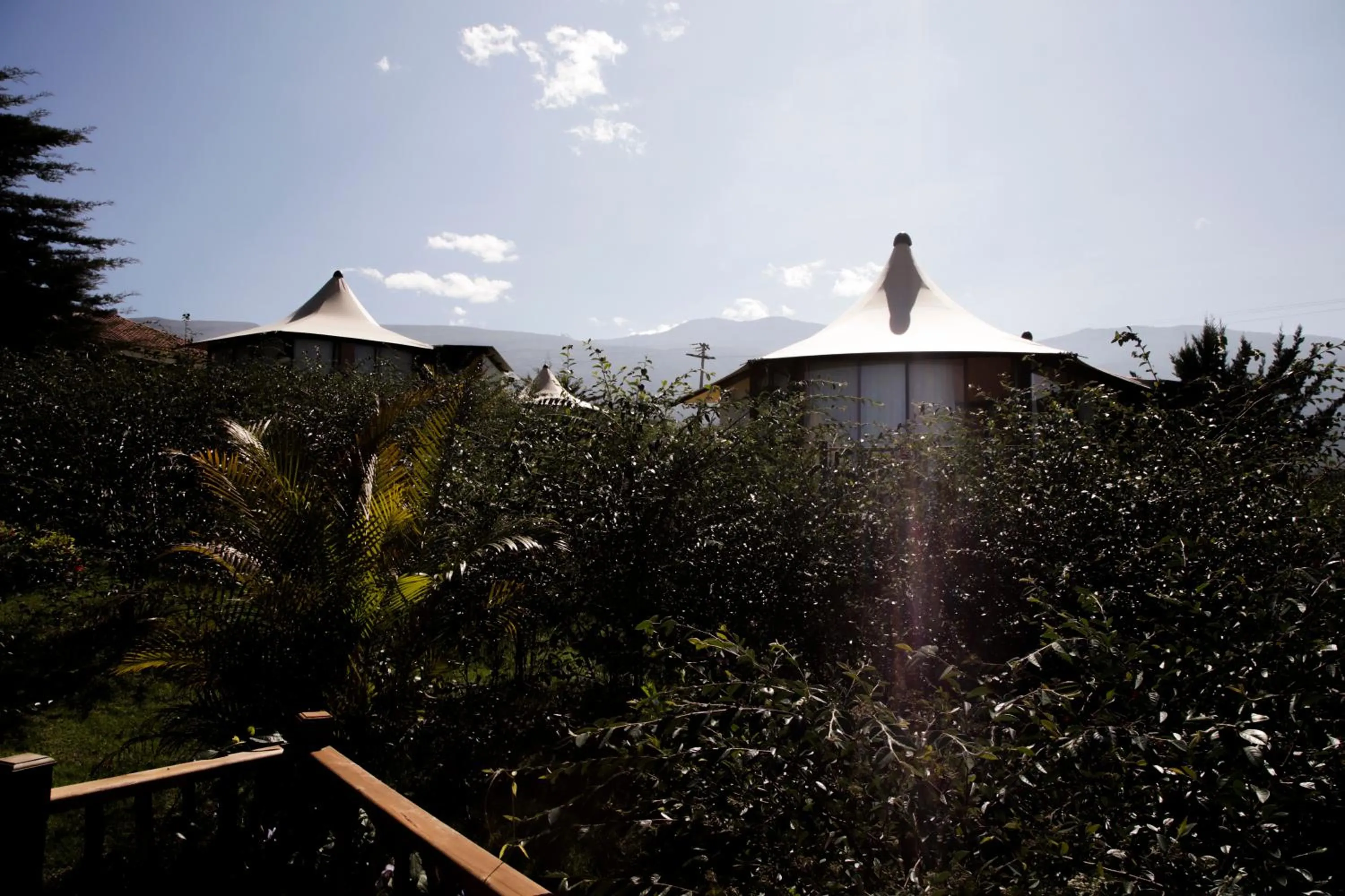 Garden view in GENKI LUXURY GLAMPING