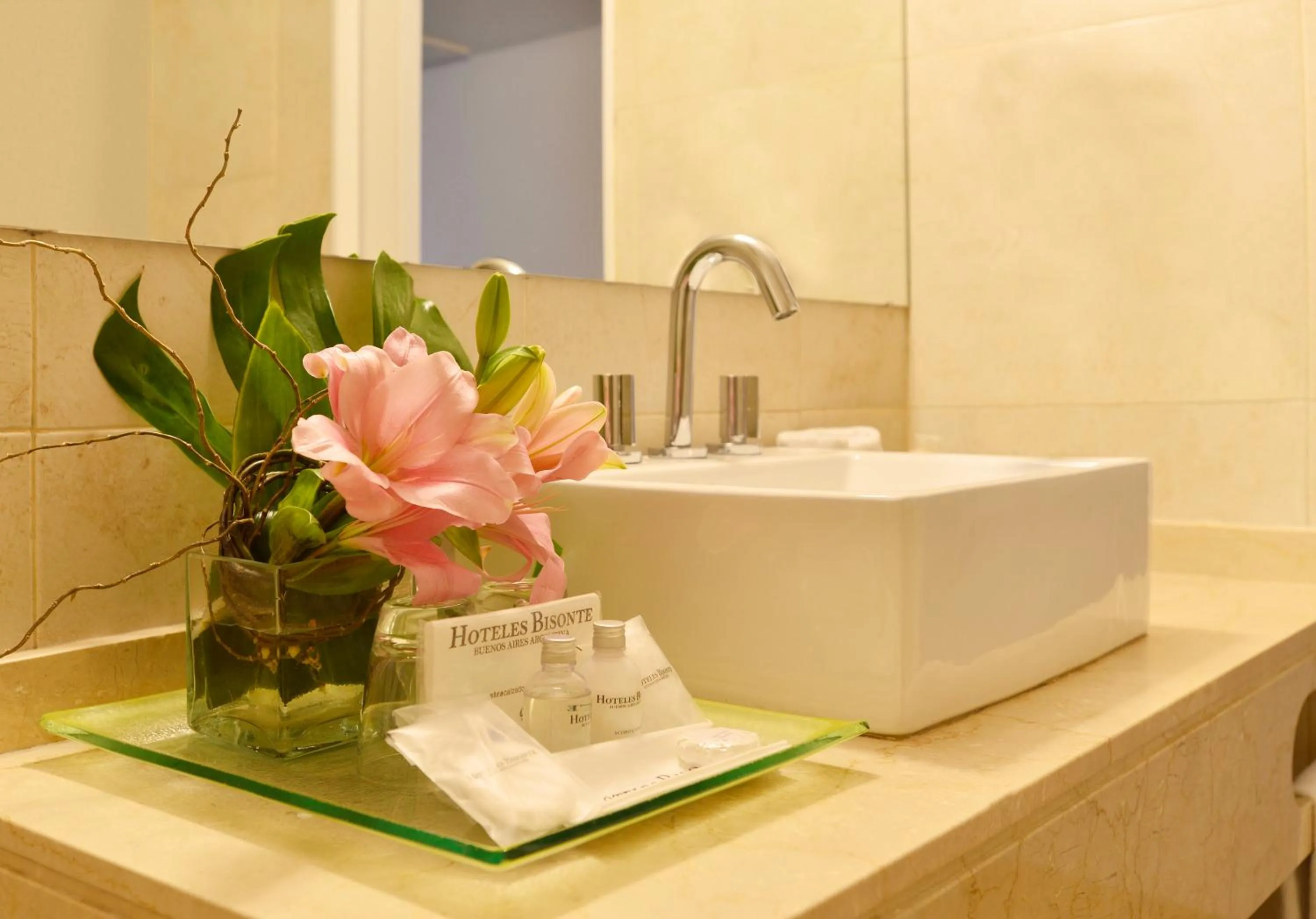 Bathroom in Bisonte Libertad