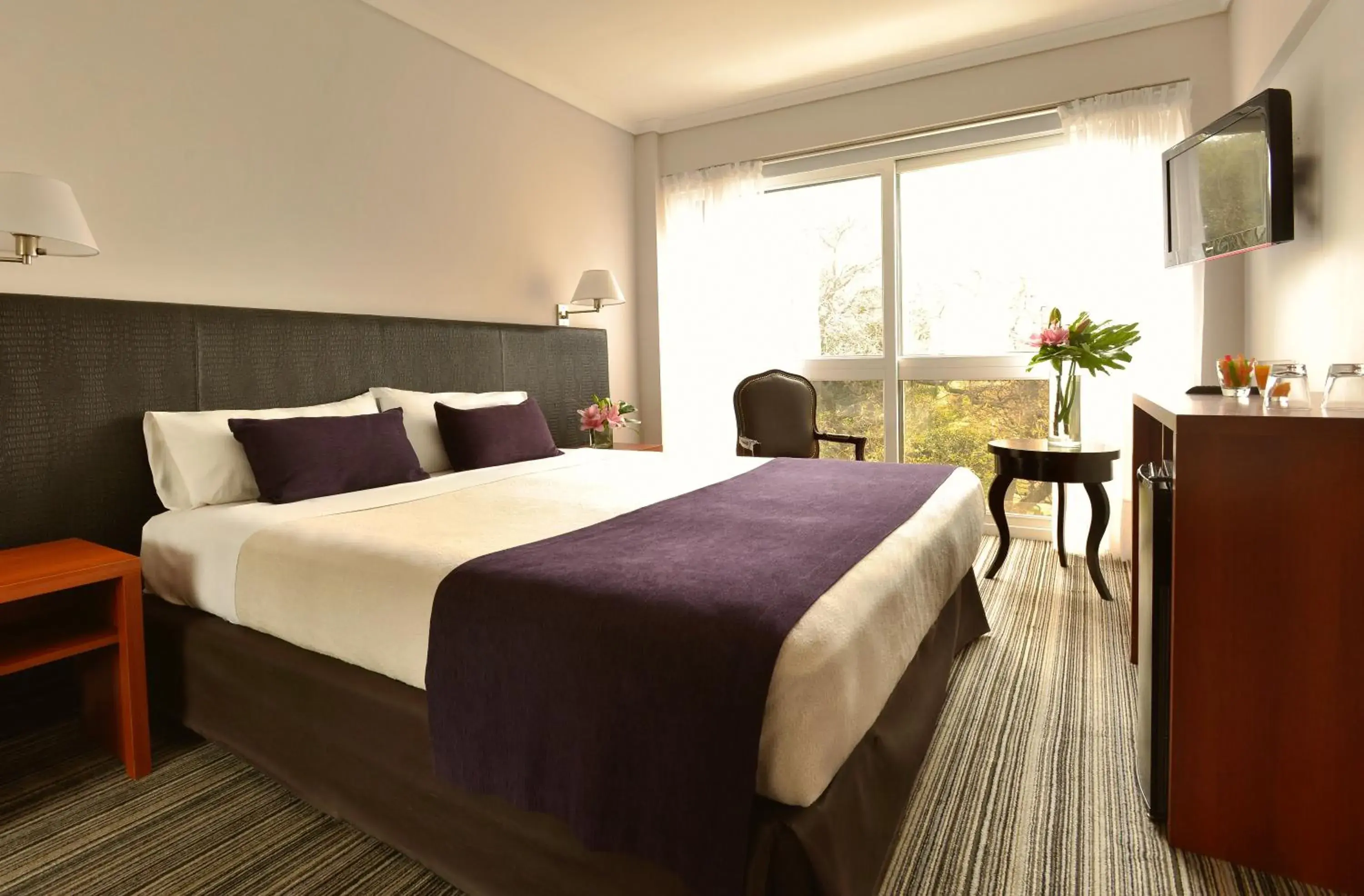 Photo of the whole room, Bed in Bisonte Libertad Photo of the whole room, Bed in Bisonte Libertad