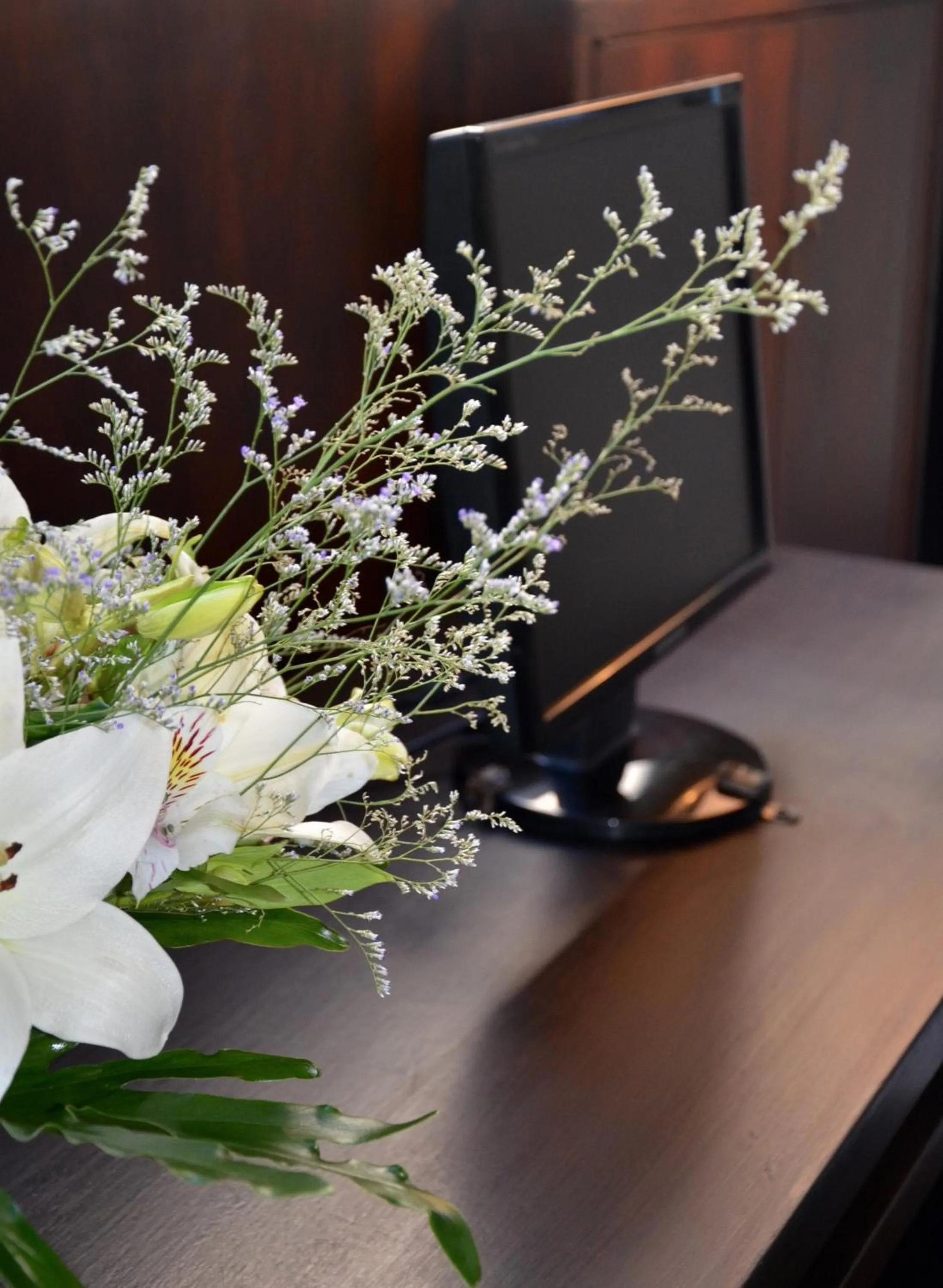 Communal lounge/ TV room in Bisonte Libertad