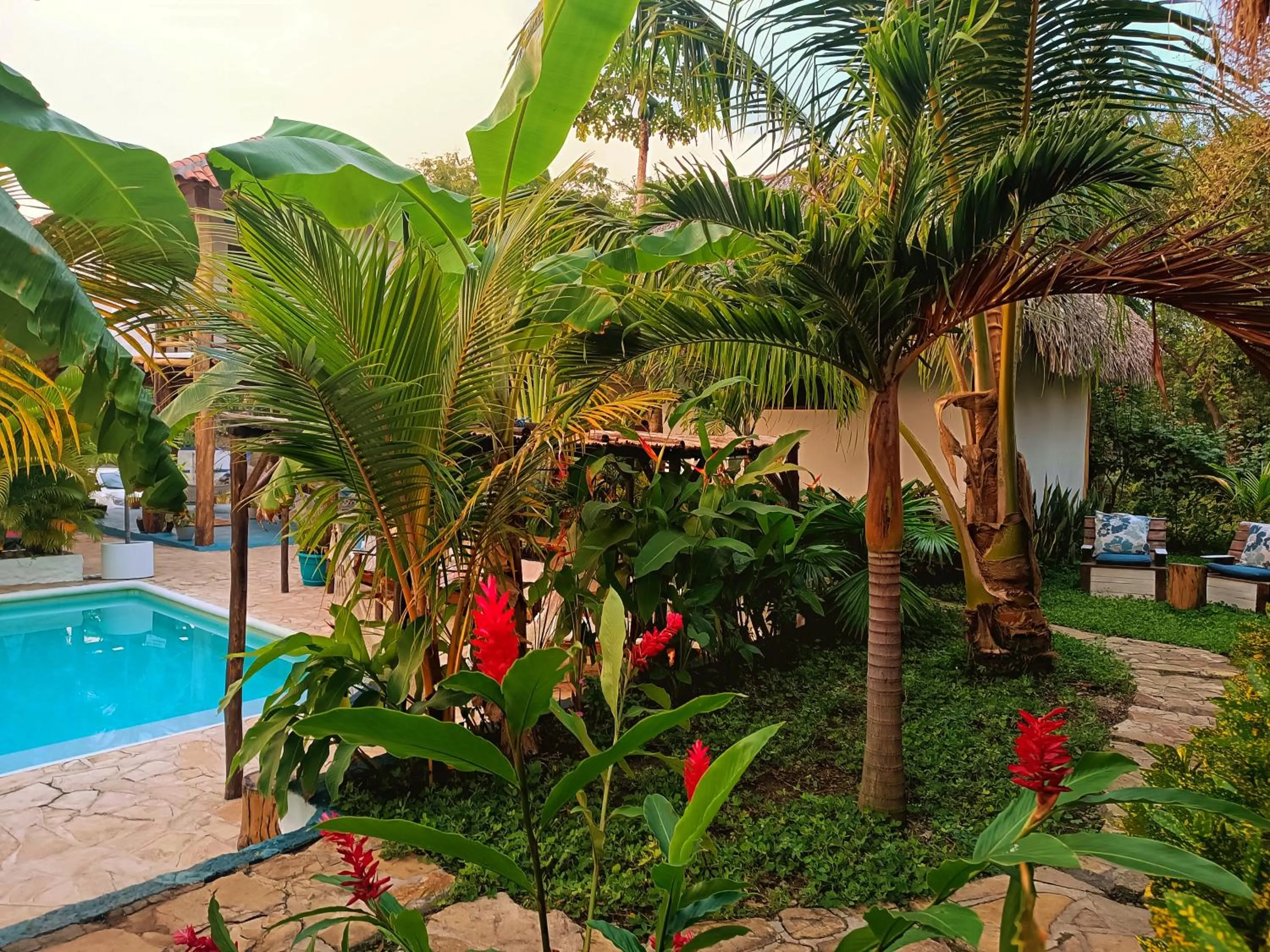 Garden in Hotel Cabañas Puesta del Sol