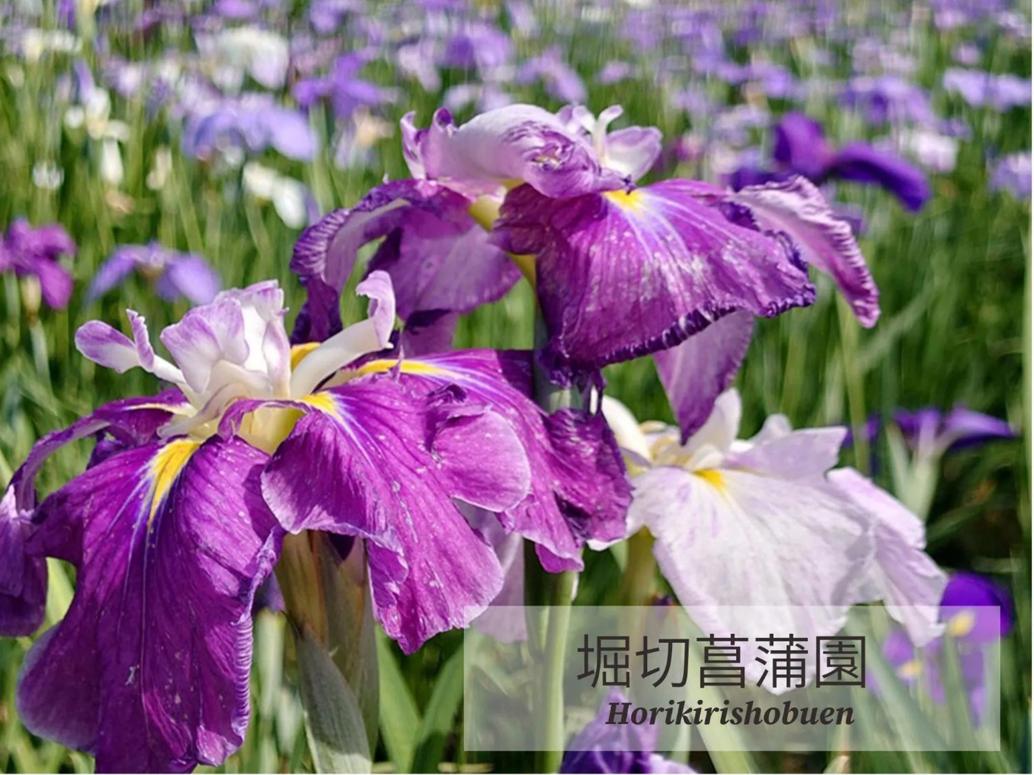 Nearby landmark in Restay lagoon