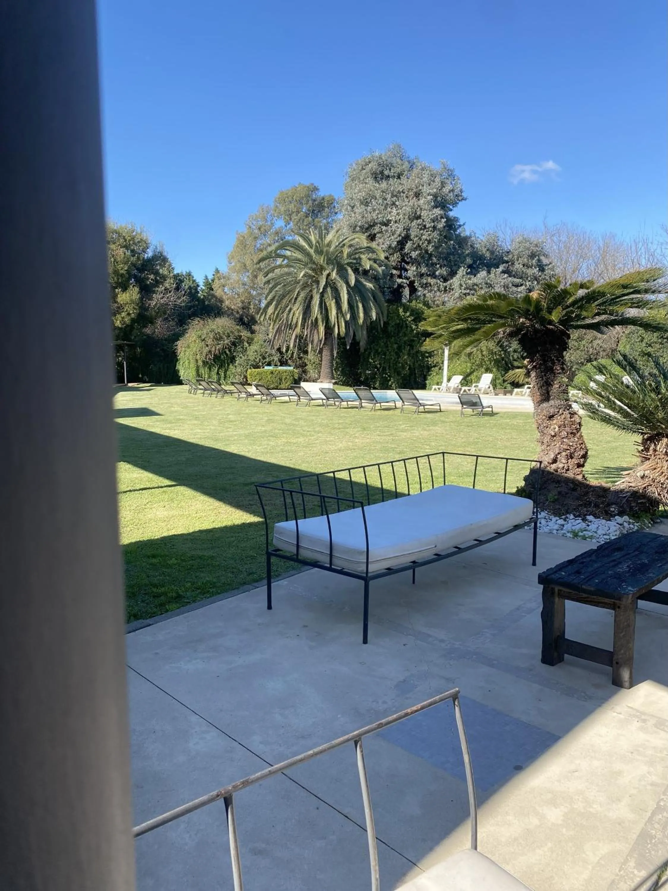 Garden in Hotel Camberland