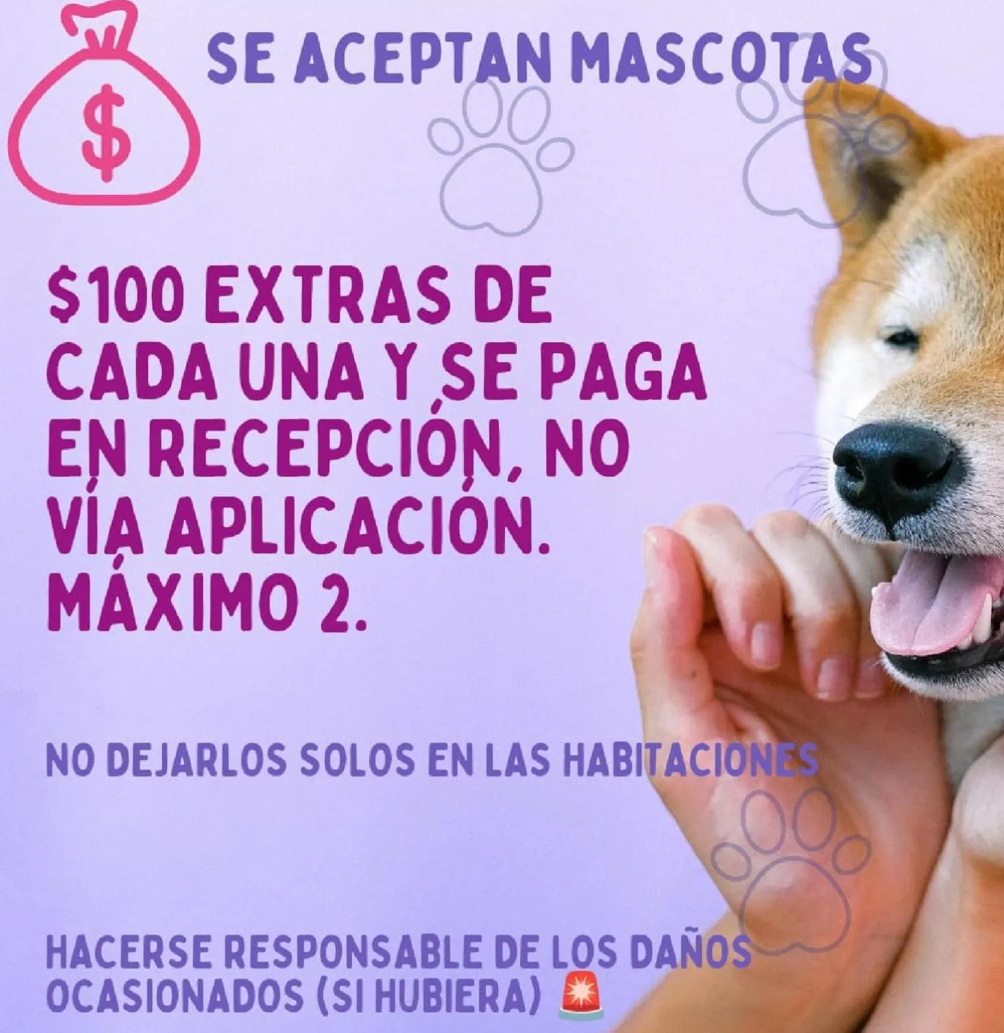 Cabañas Los Bosques del Zembo