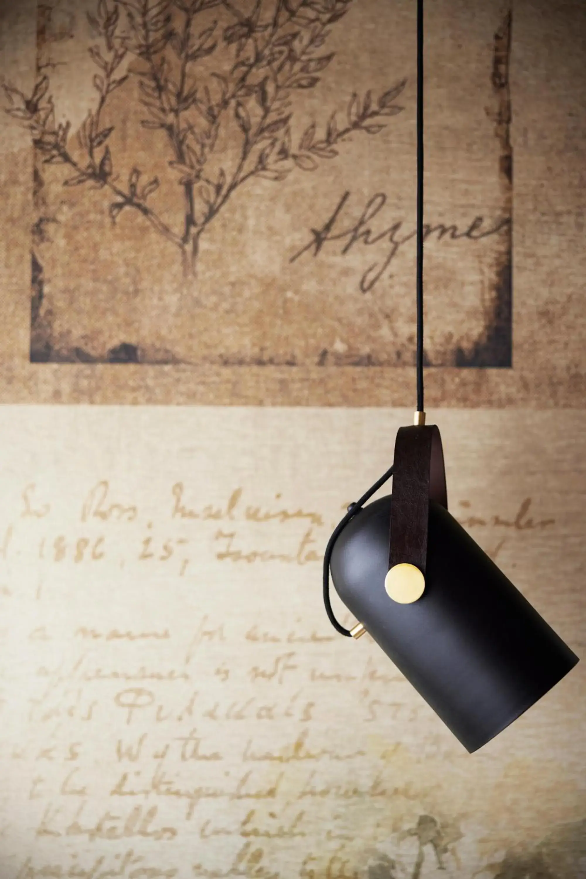 Photo of the whole room in Anise, Aluma Hotels & Resorts Photo of the whole room in Anise, Aluma Hotels & Resorts