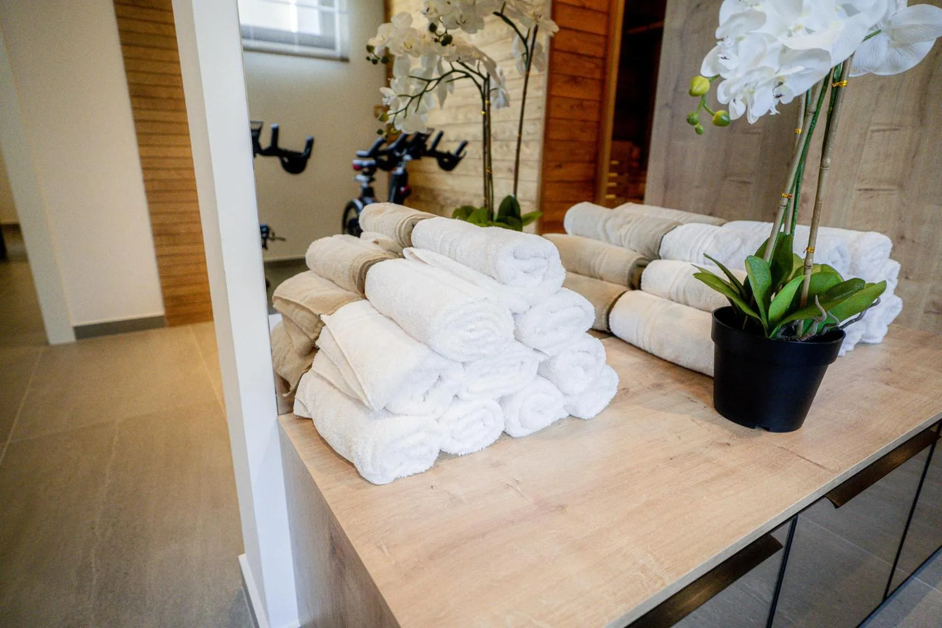 Spa and wellness centre/facilities in Villas-Kroatien