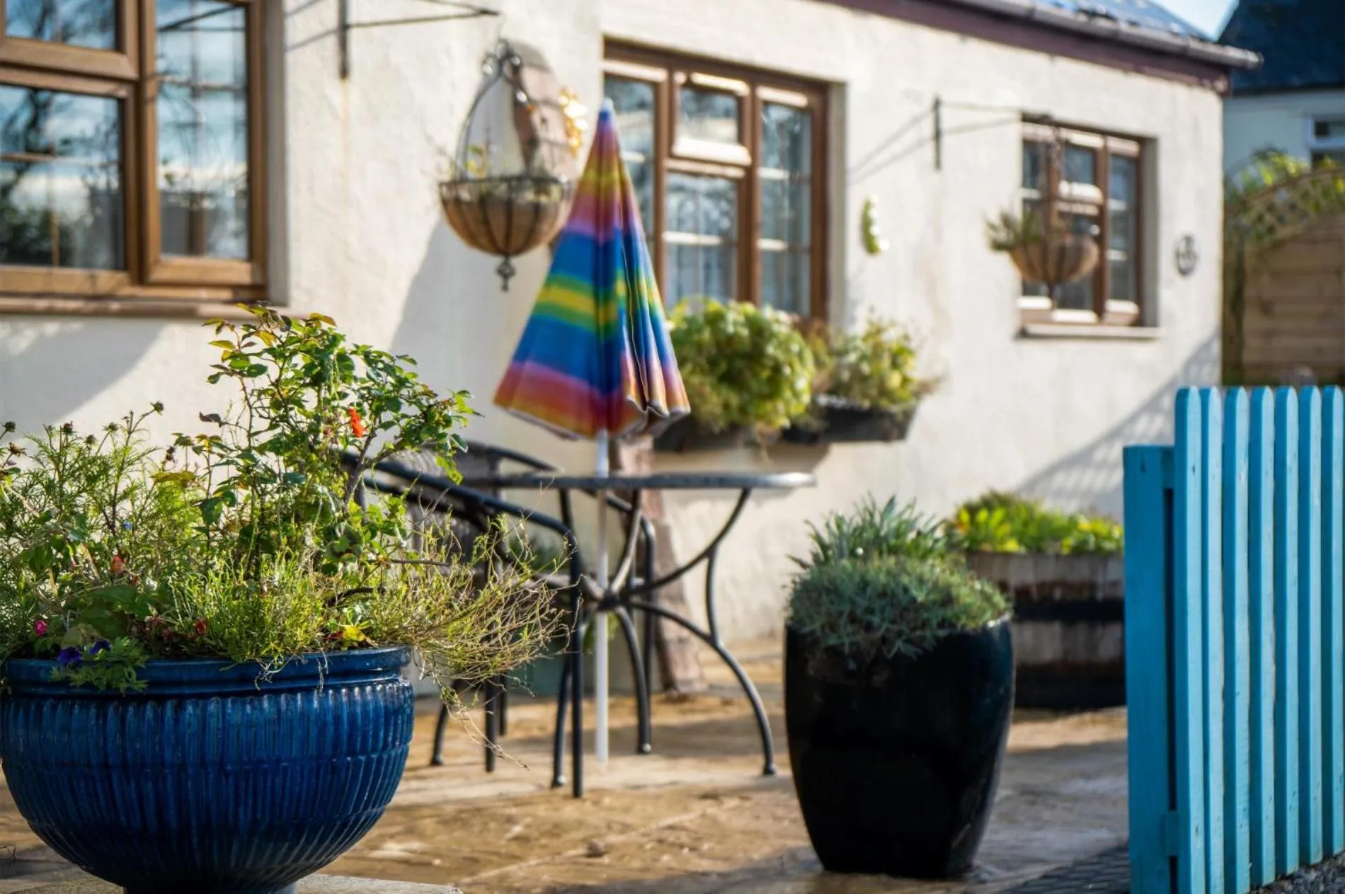 Floor plan in Lilac Cottage - 1 Bedroom Cottage - Amroth