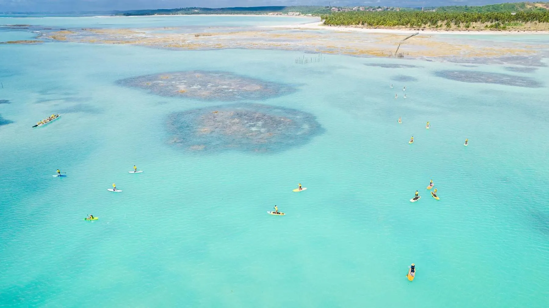Beach in Ipioca Beach Resort Maceió