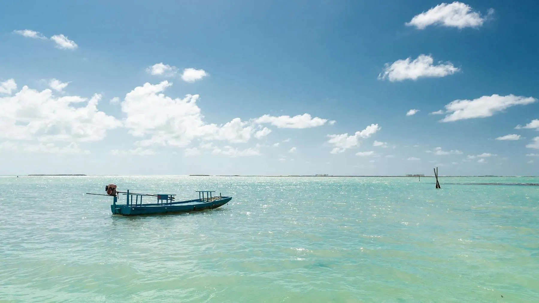 Beach in Ipioca Beach Resort Maceió