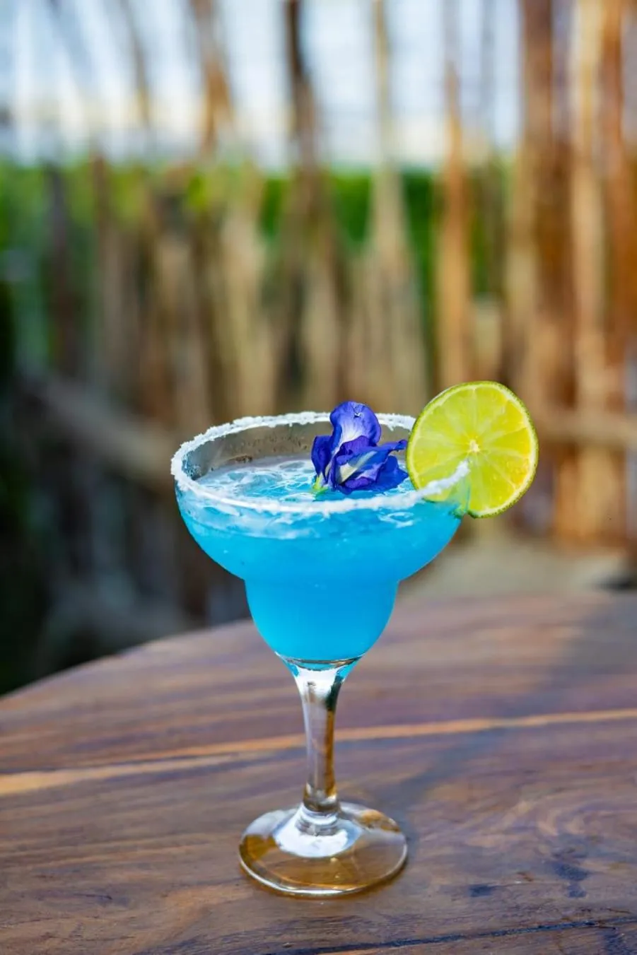 Villa Pantai Boutique Hotel Maragogi