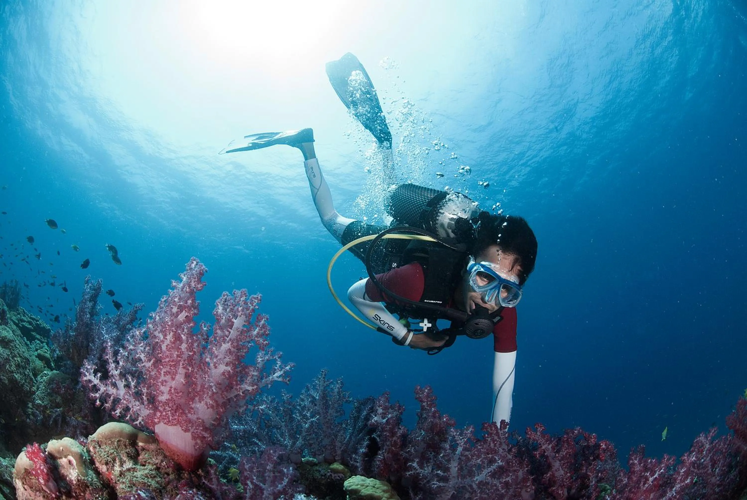 Activities in Tilar Siro Andamans - A CGH Earth Experience