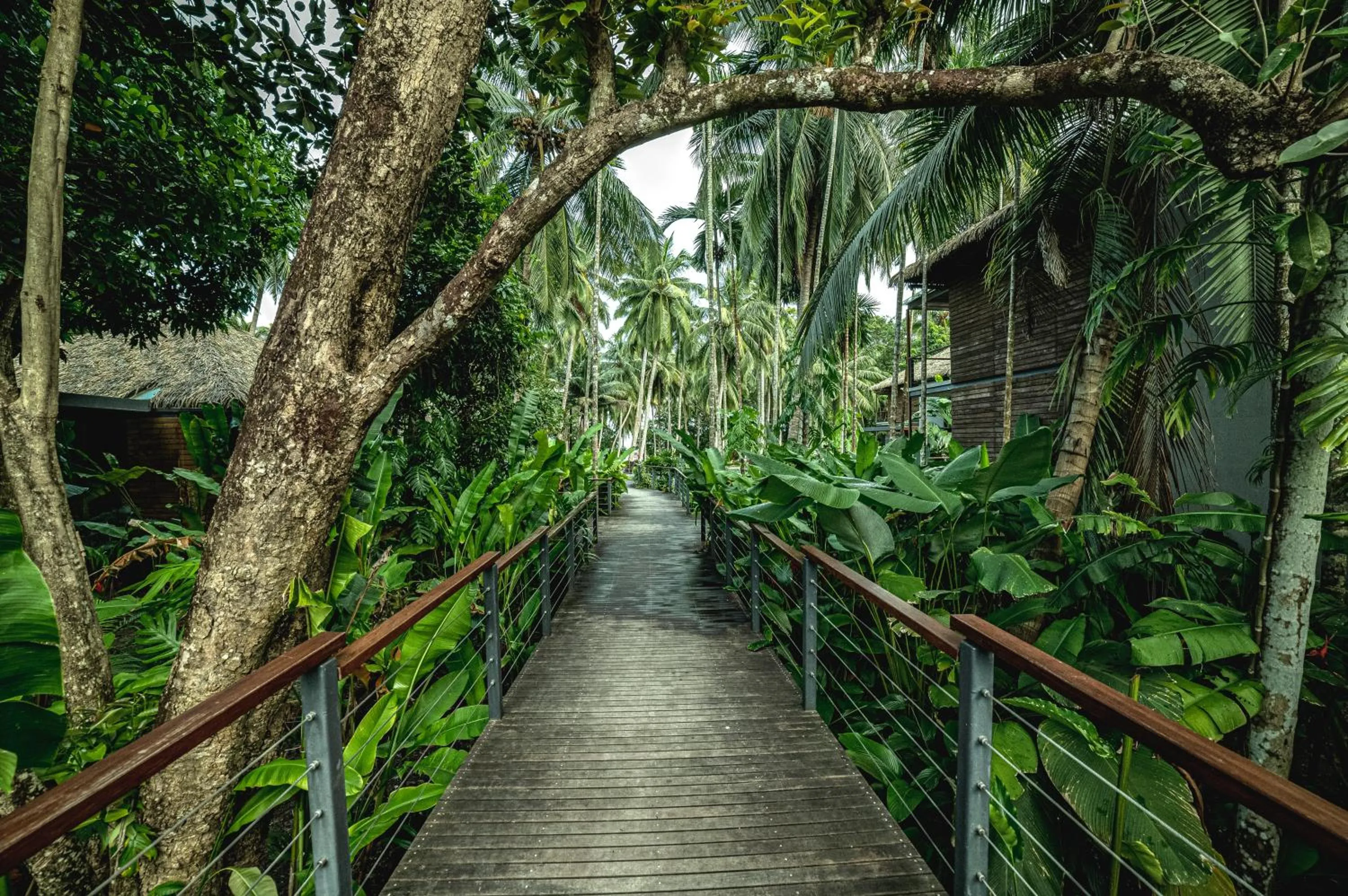 Day in Tilar Siro Andamans - A CGH Earth Experience