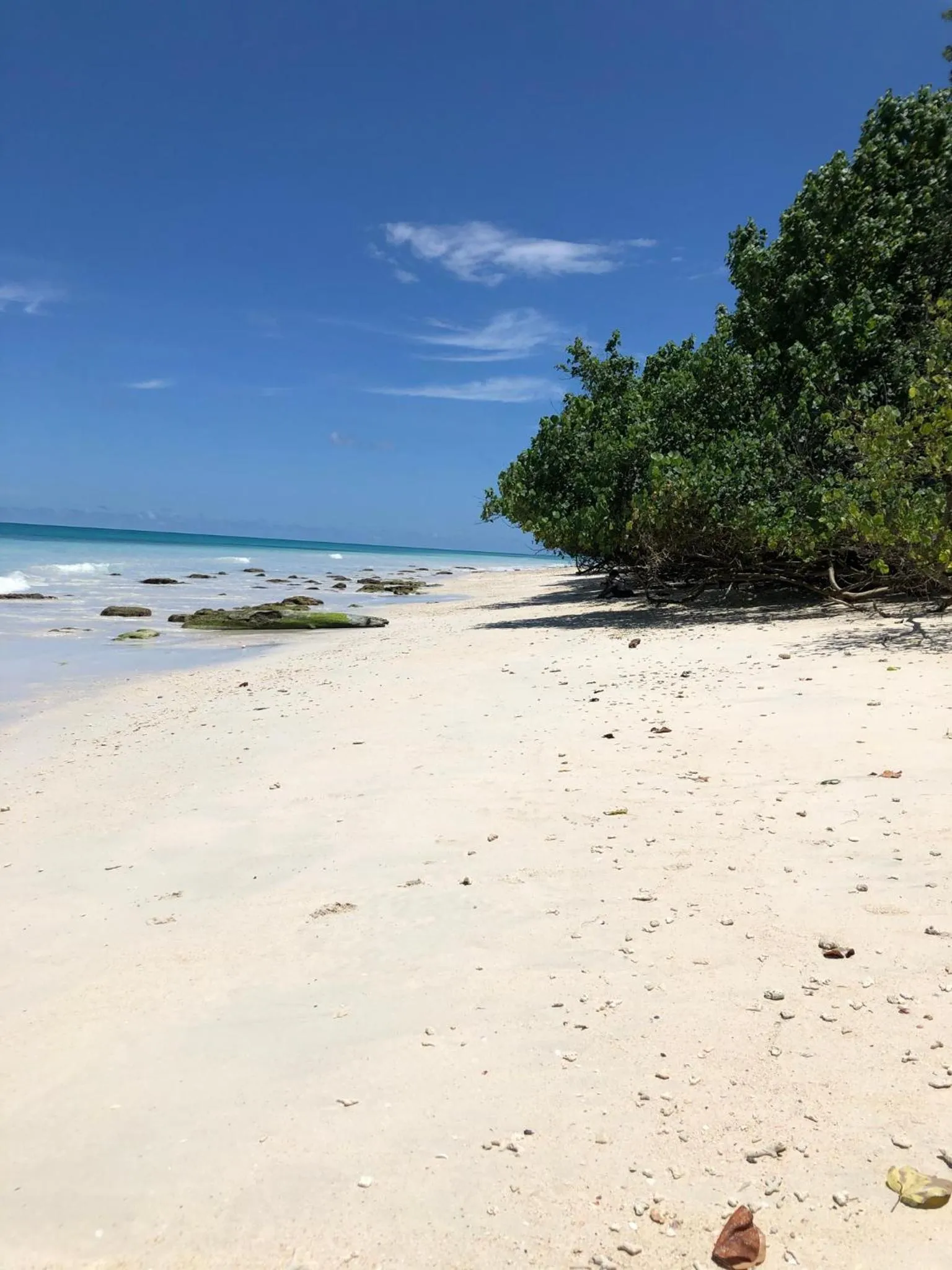 Beach in Tilar Siro Andamans - A CGH Earth Experience