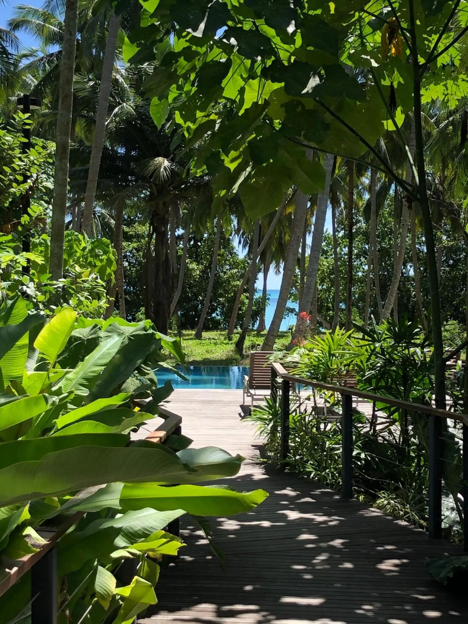 Pool view in Tilar Siro Andamans - A CGH Earth Experience