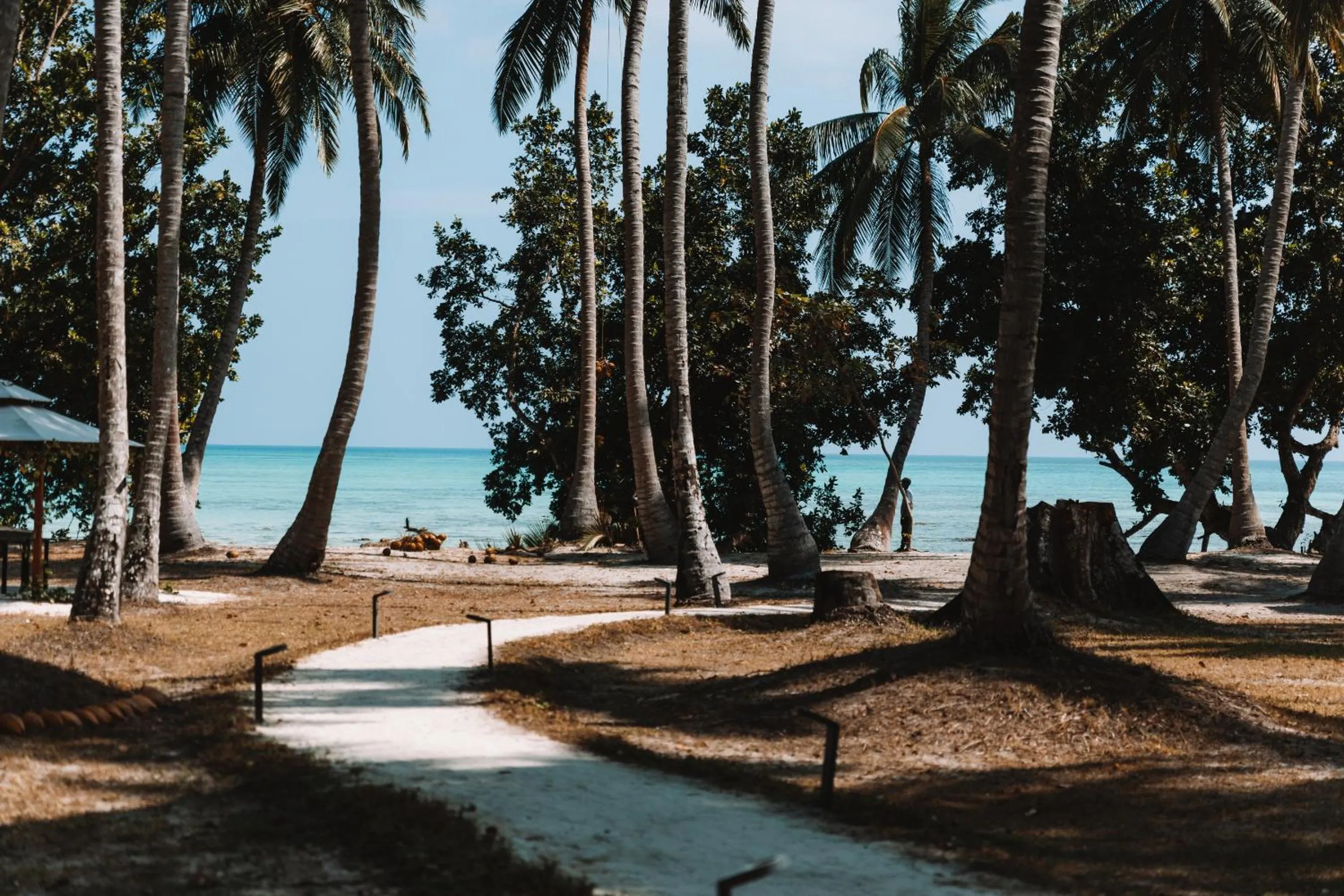 Beach in Tilar Siro Andamans - A CGH Earth Experience