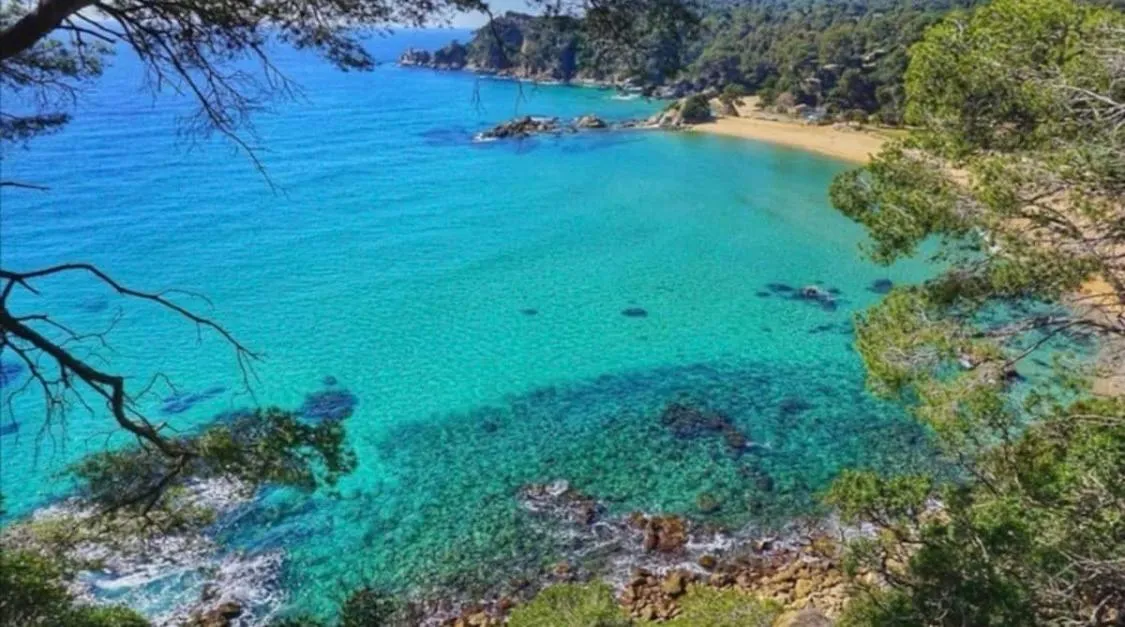 LA MER BLEUE, Boutique Apartament with free parking, full equipped in Fenals Beach