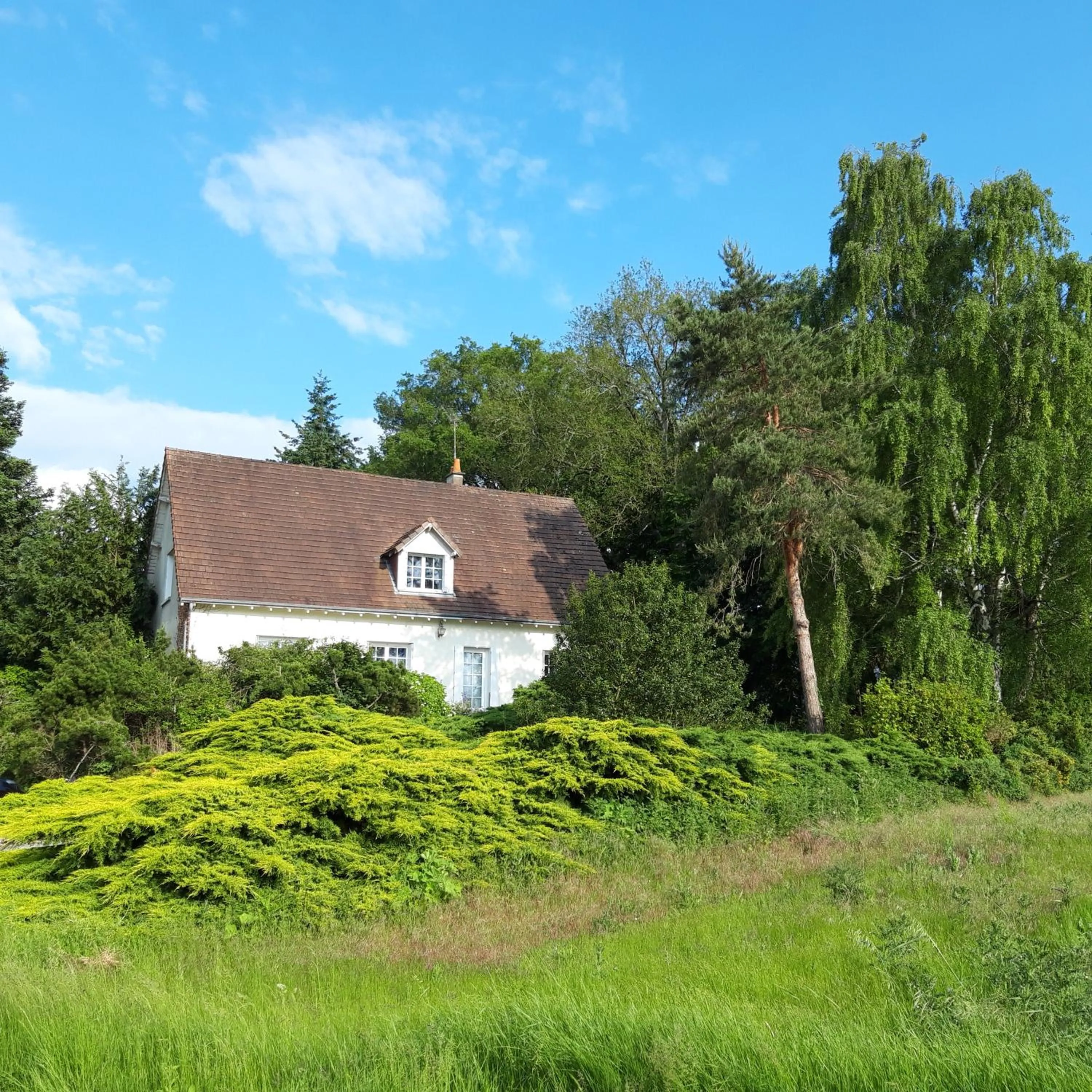 Property building in L'EDEN proche du Zoo de Beauval de Saint Aignan
