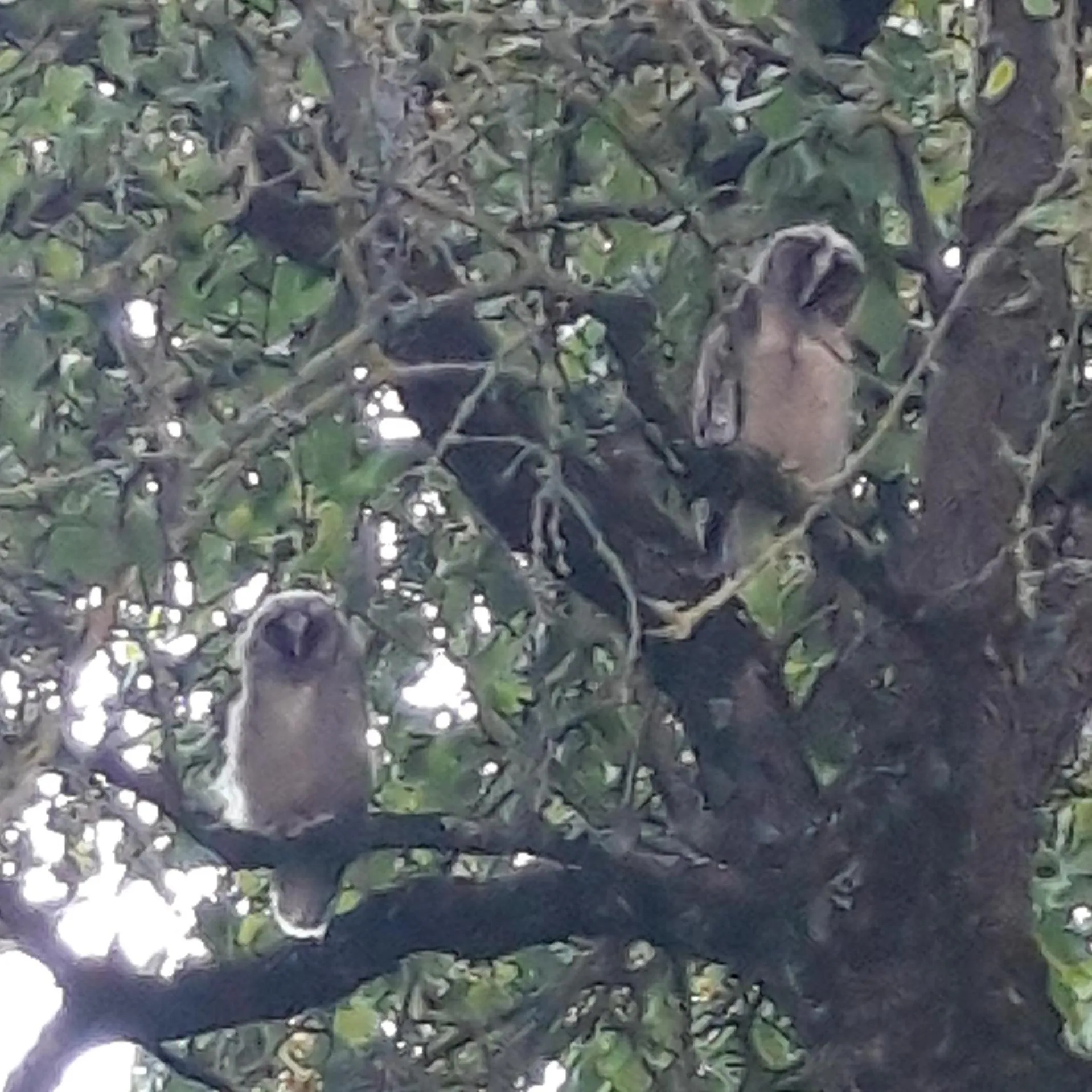 Garden in L'EDEN proche du Zoo de Beauval de Saint Aignan